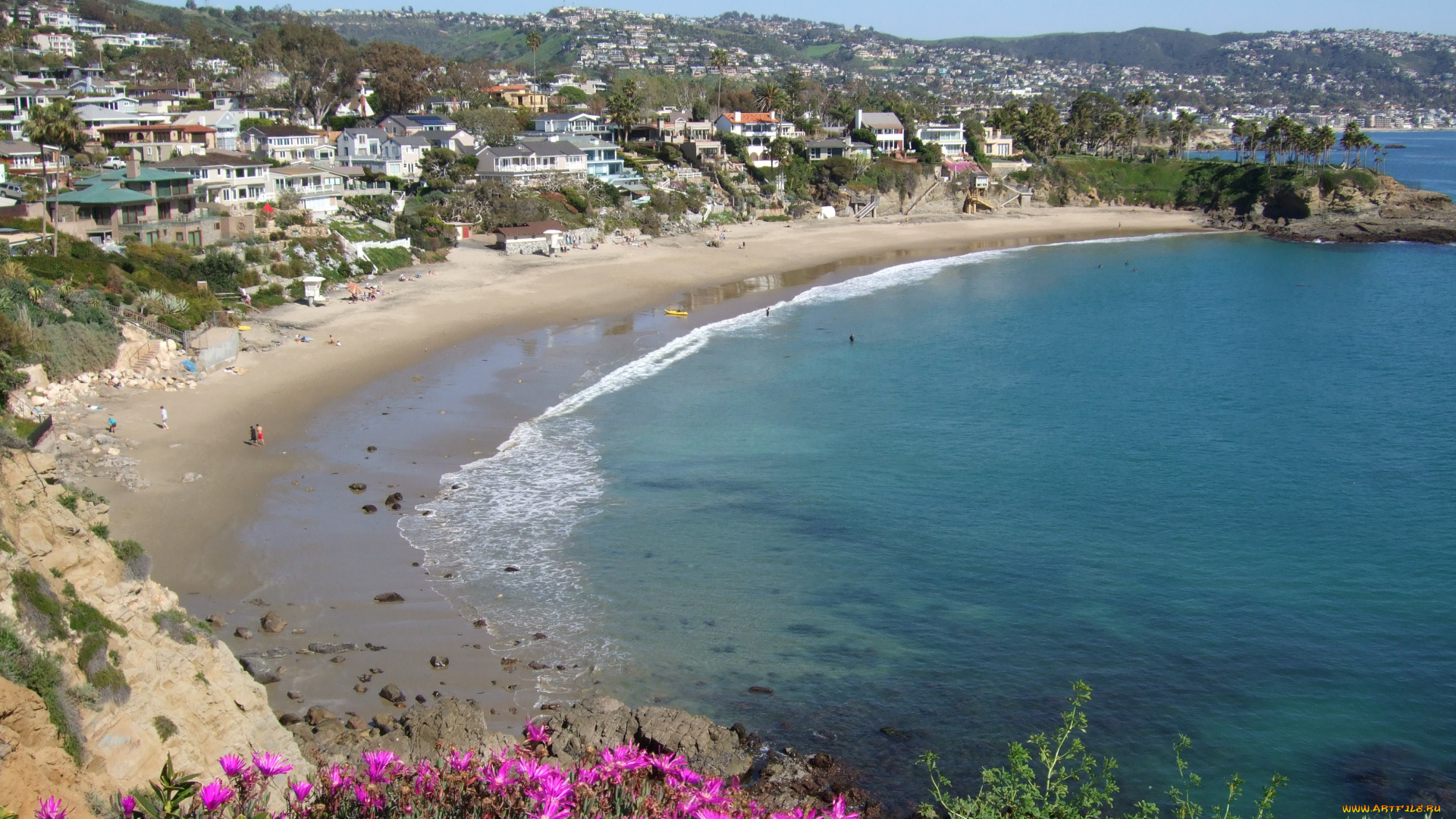 laguna, beach, california, природа, побережье, сша, калифорния, океан, пляж, цветы, дома