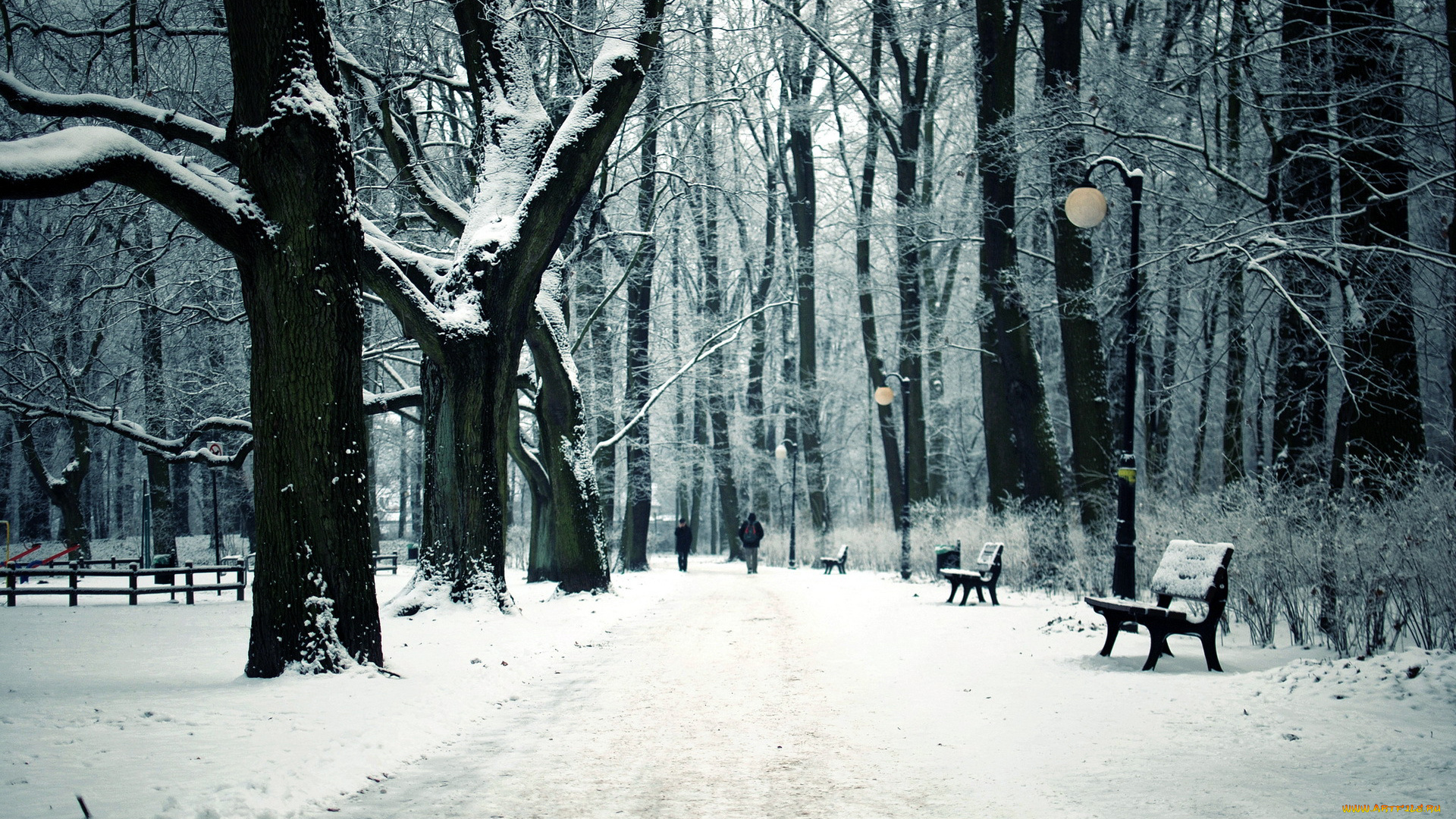 природа, зима, лавки, дорожки, деревья, снег, парк