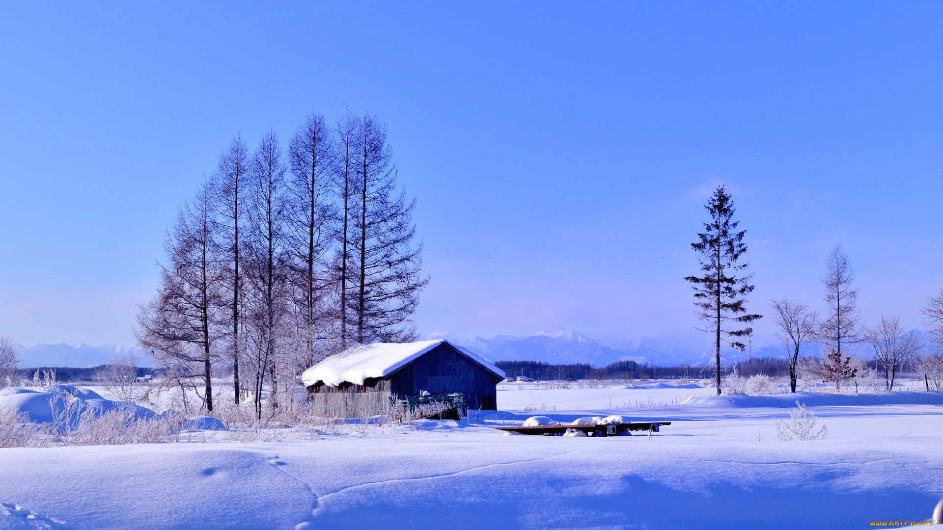 природа, зима, поле, дом, деревья, снег