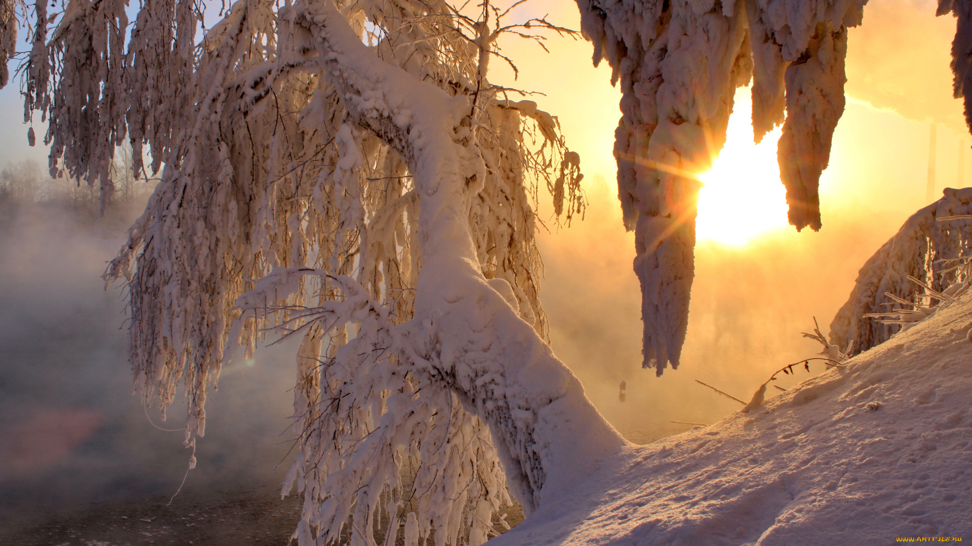 природа, зима, рассвет, солнце, снег