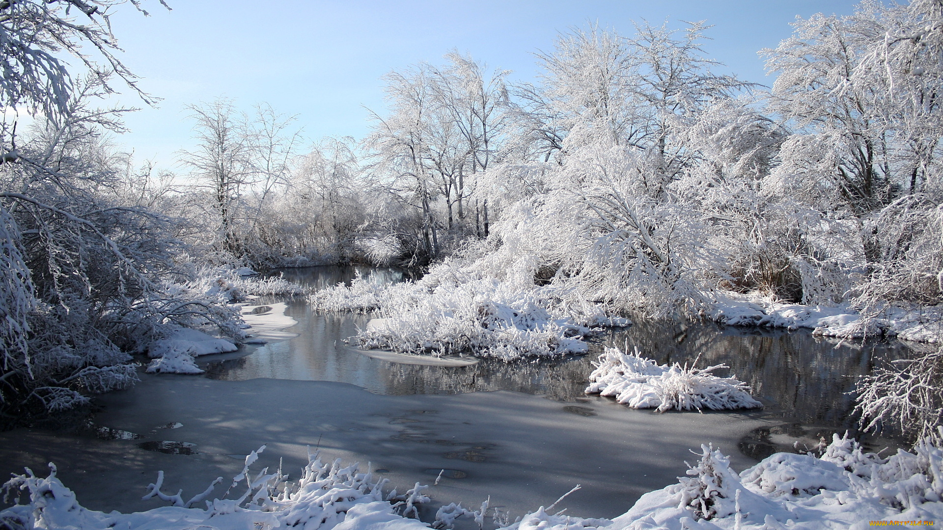 природа, зима, река, кусты, пейзаж