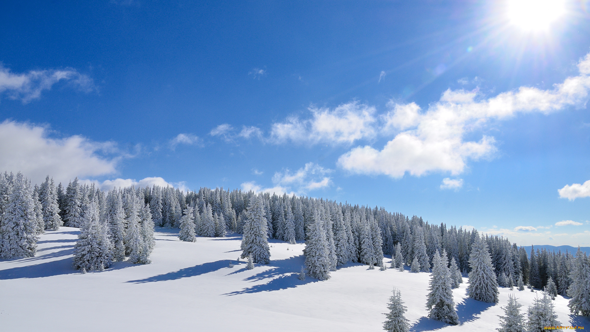 природа, зима, солнце, лес, деревья, снег