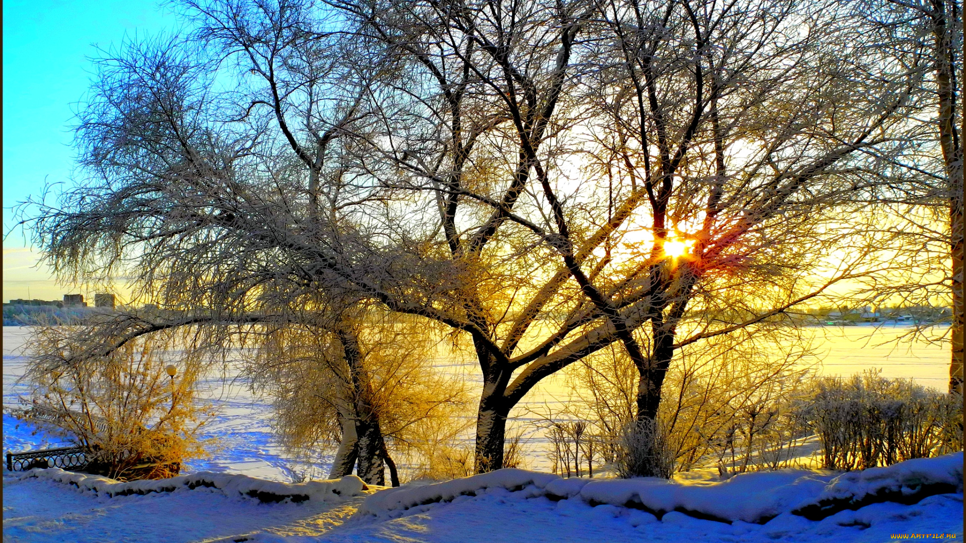 winter, morning, природа, зима, утро, поле, деревья, солнце
