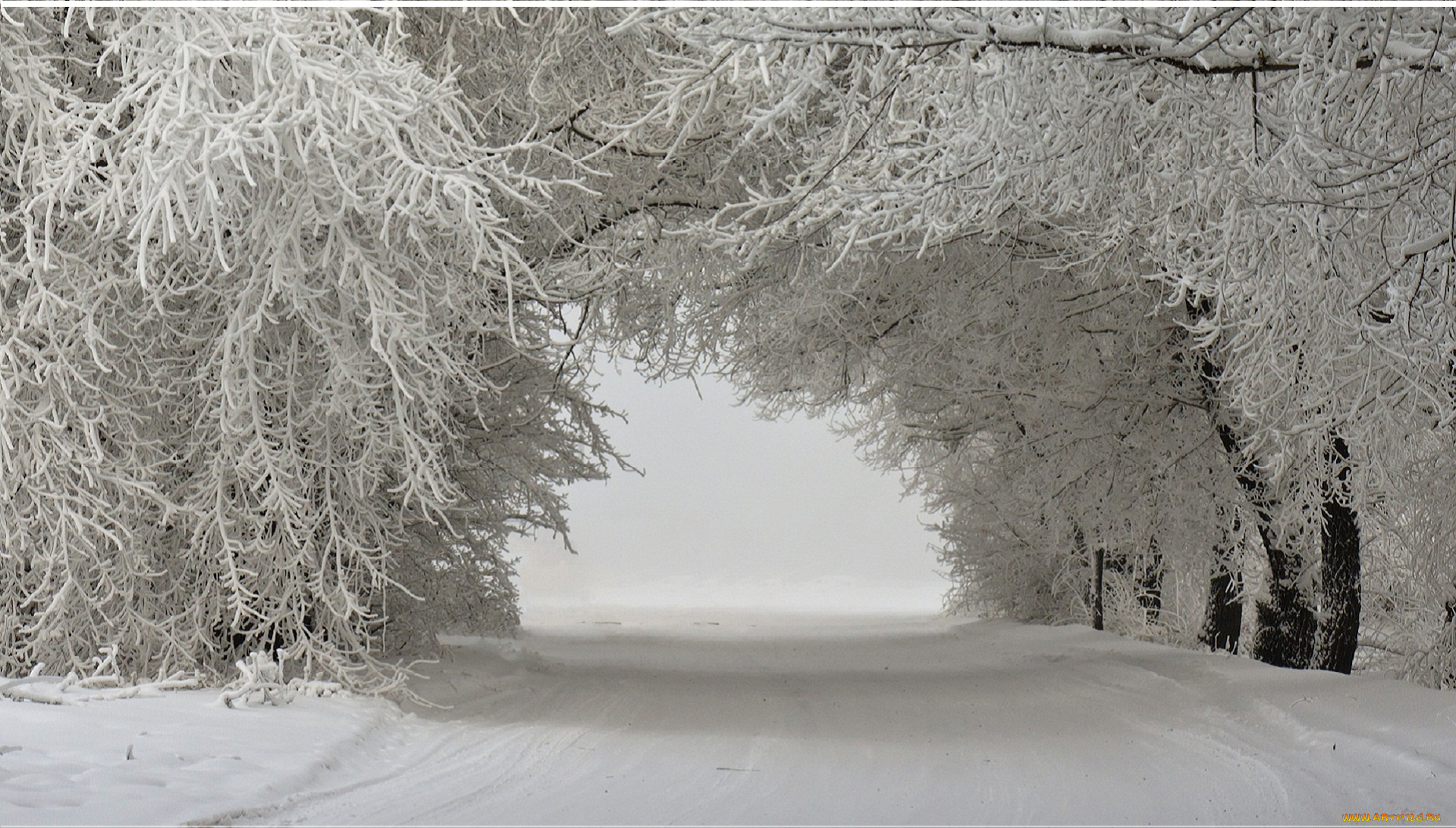 природа, зима, деревья, пейзаж, снег, дорога