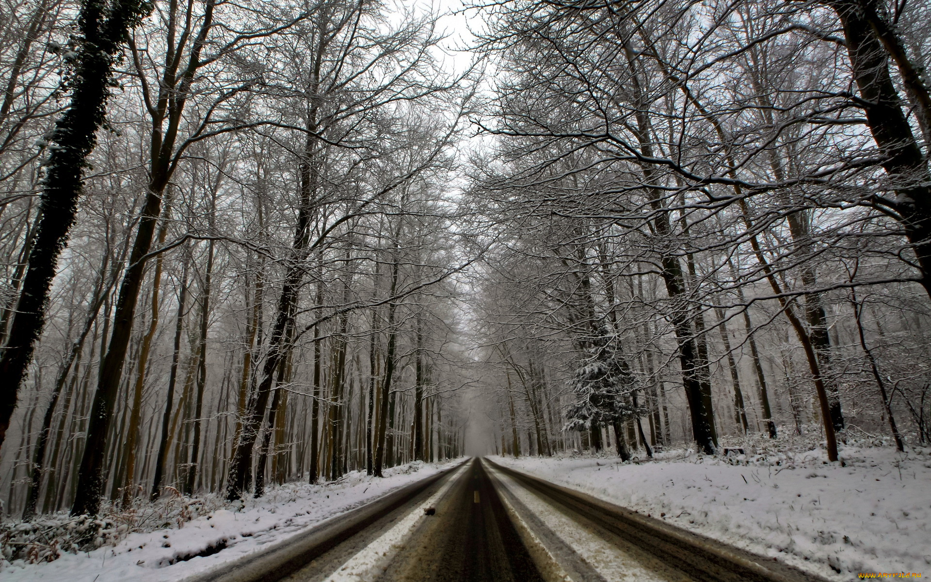 природа, дороги, лес, дорога, зима
