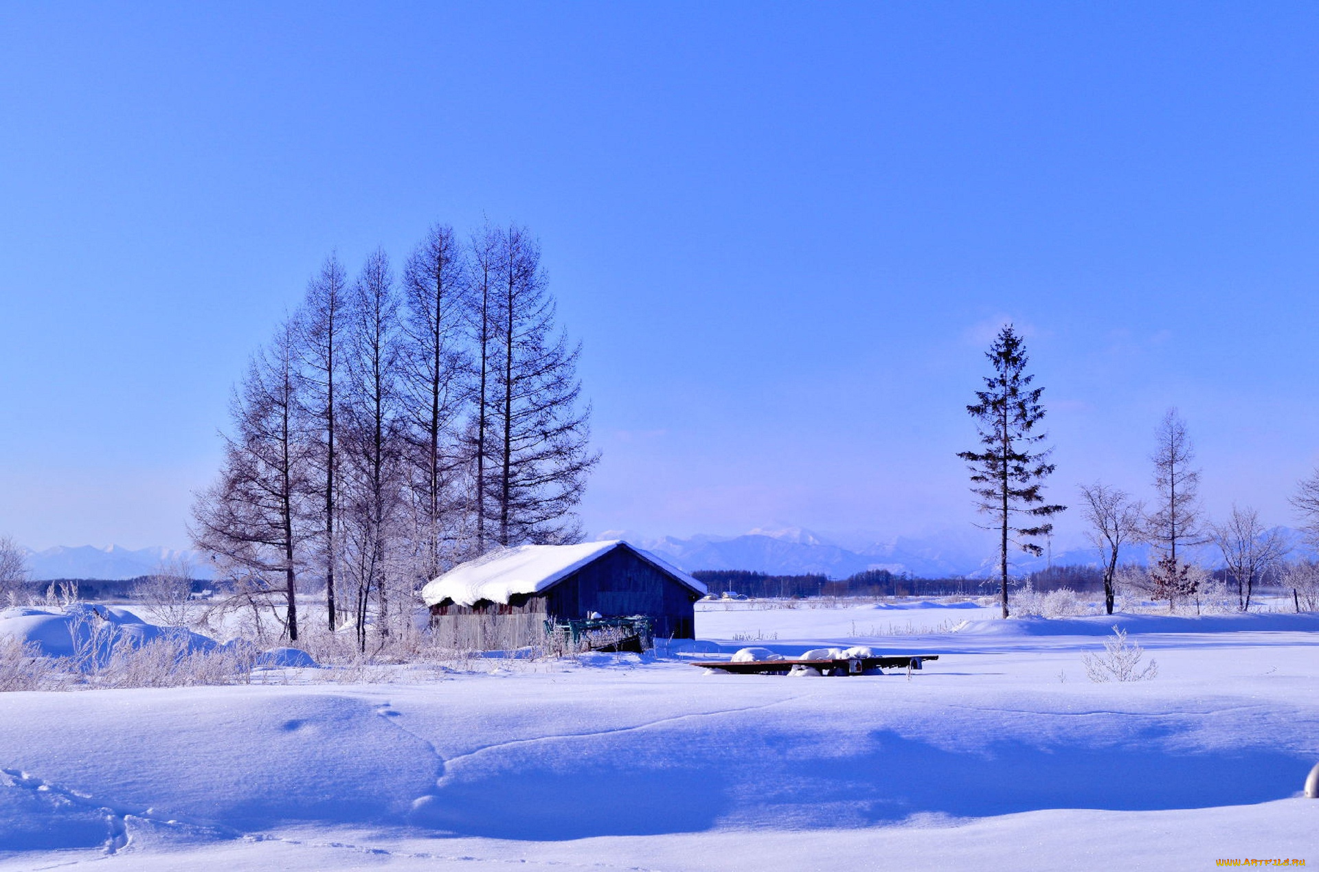 природа, зима, поле, дом, деревья, снег