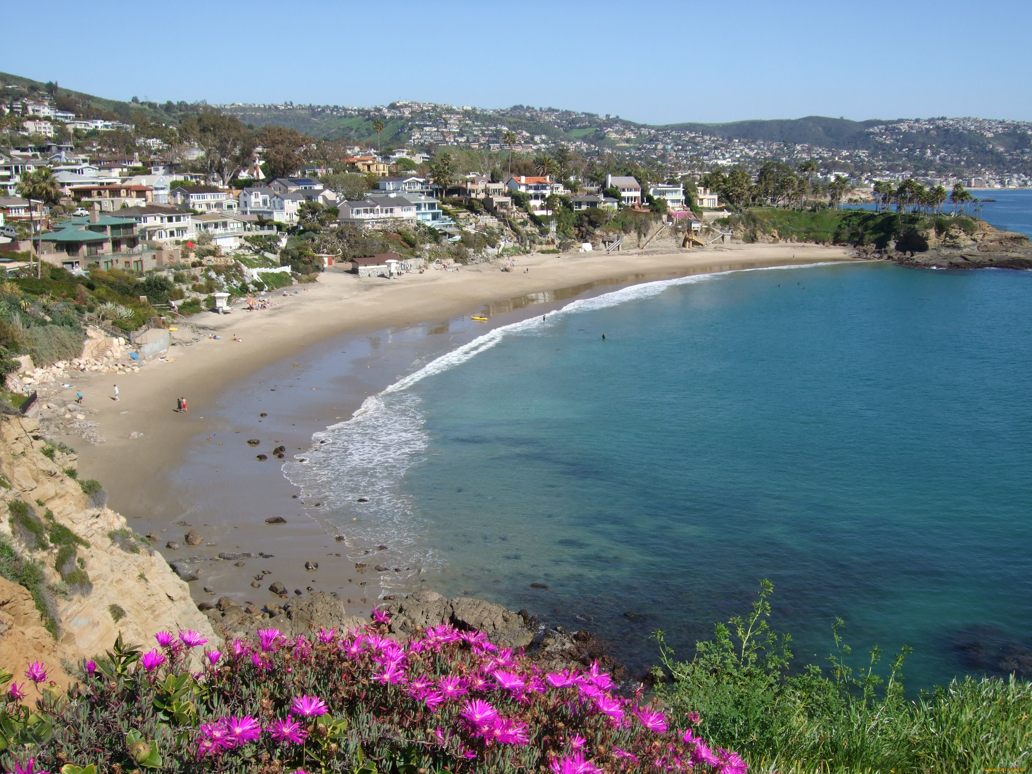 laguna, beach, california, природа, побережье, сша, калифорния, океан, пляж, цветы, дома