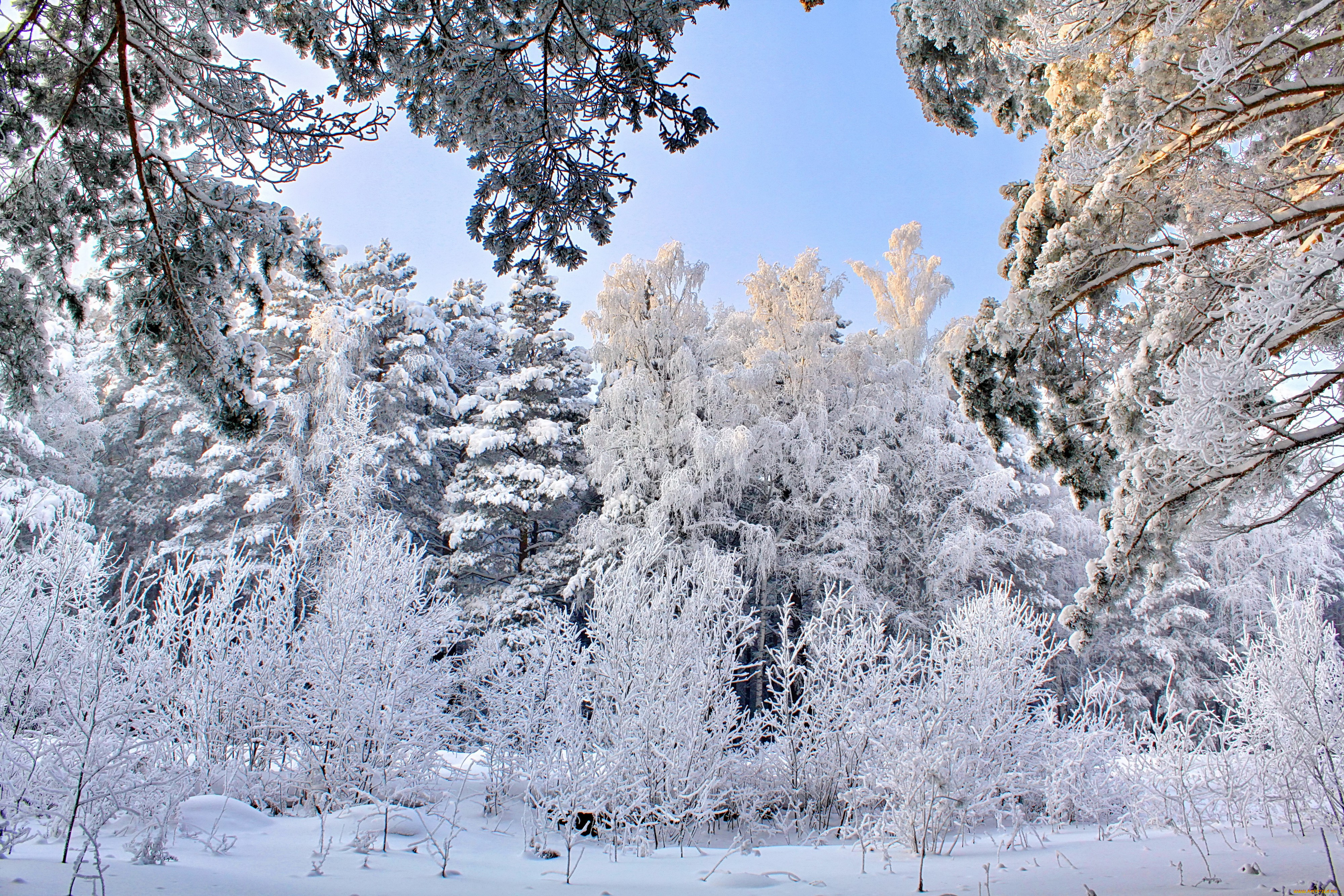 природа, зима, снег
