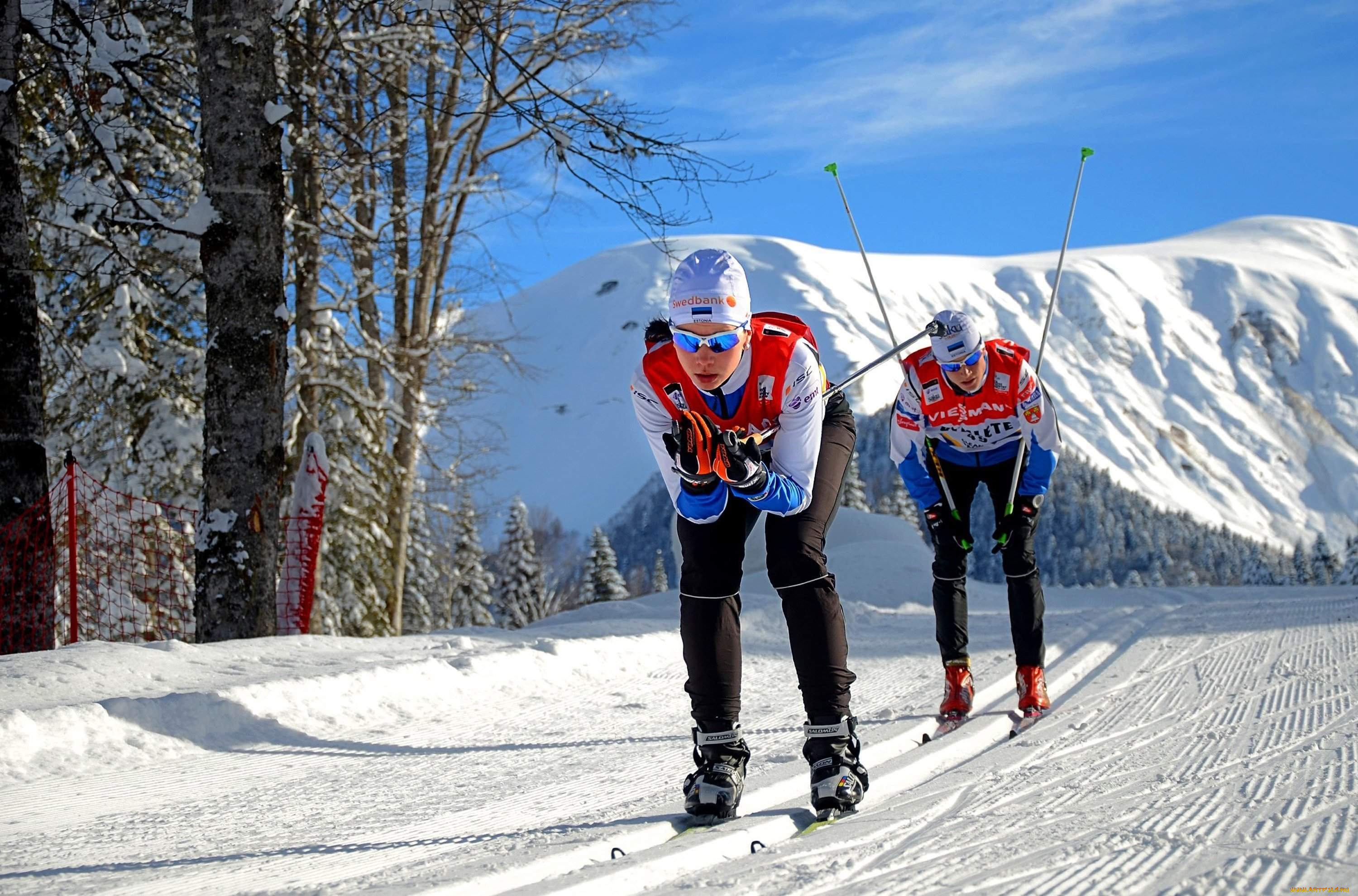 спорт, лыжный, спорт, трасса, деревья, лыжи, снег, гора, спортсмены, лыжня, лыжники