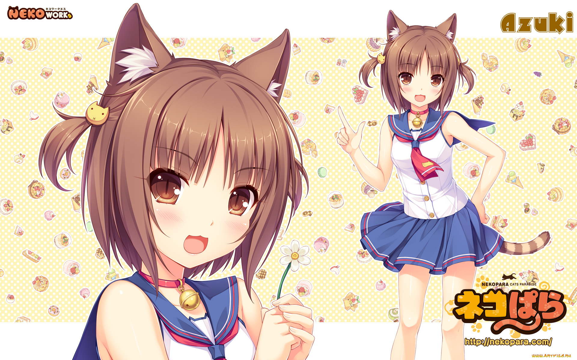 аниме, nekopara, фон, взгляд, девушка