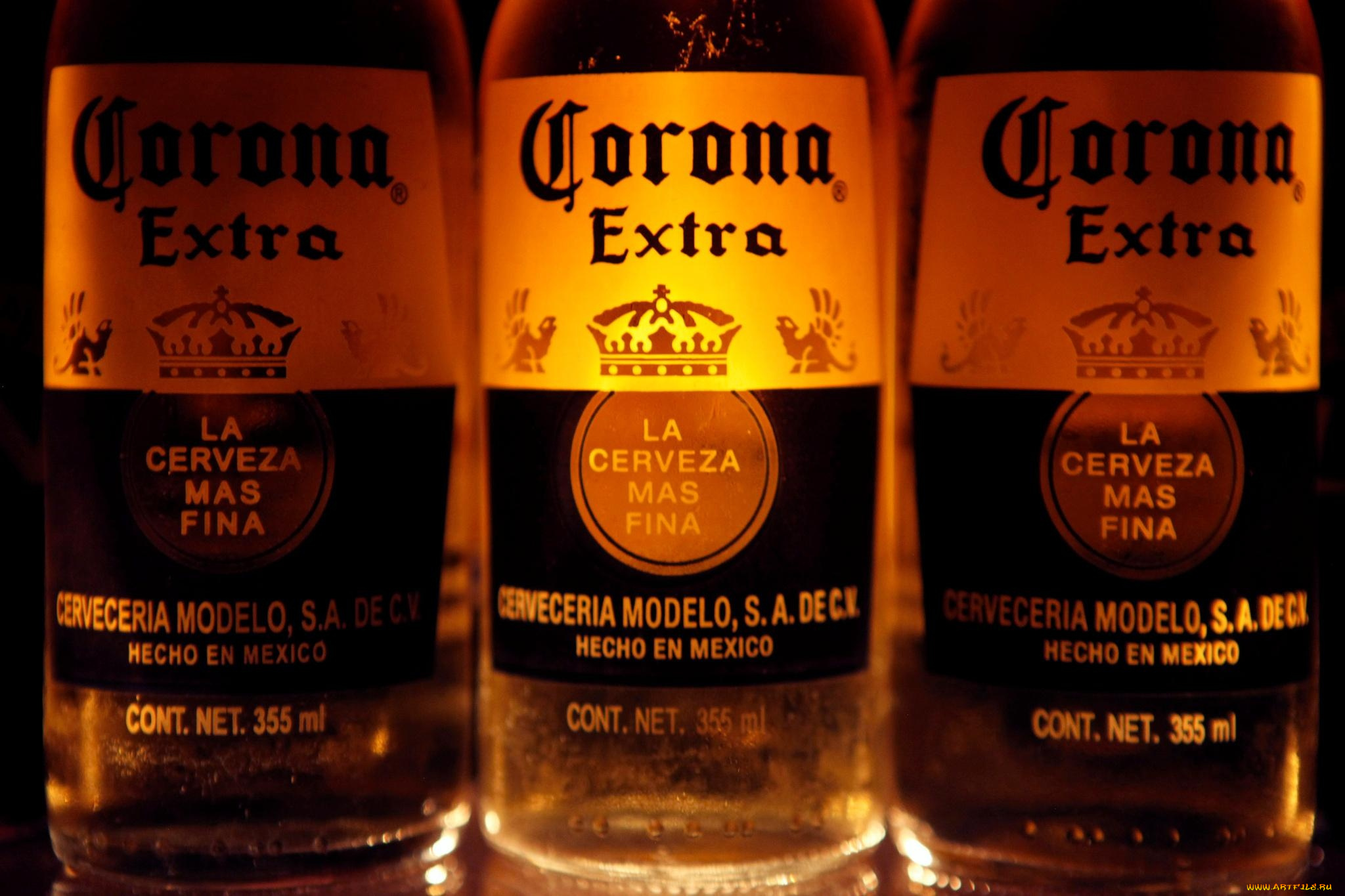 corona, бренды, бренды, напитков, , разное