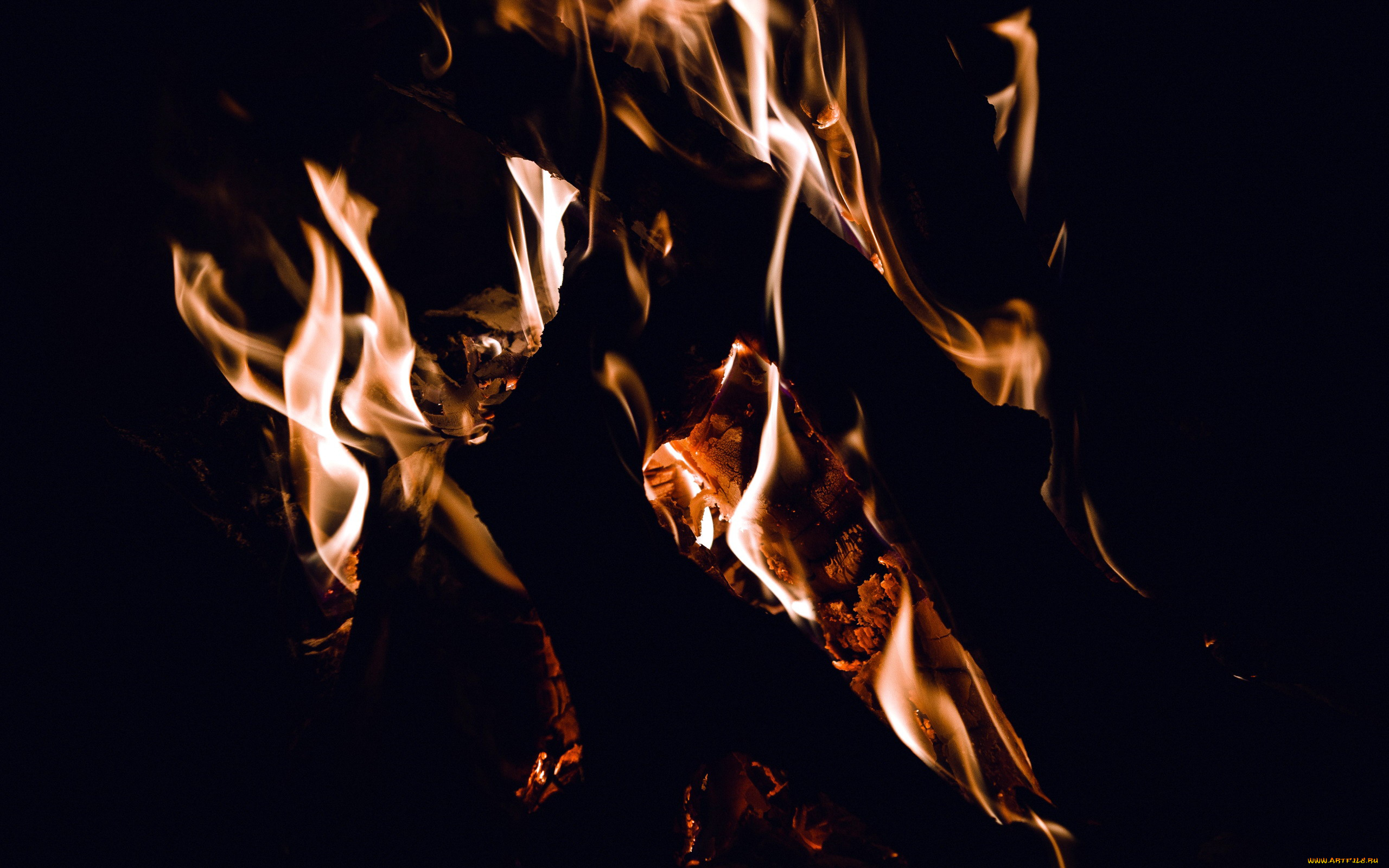 природа, огонь, пламя