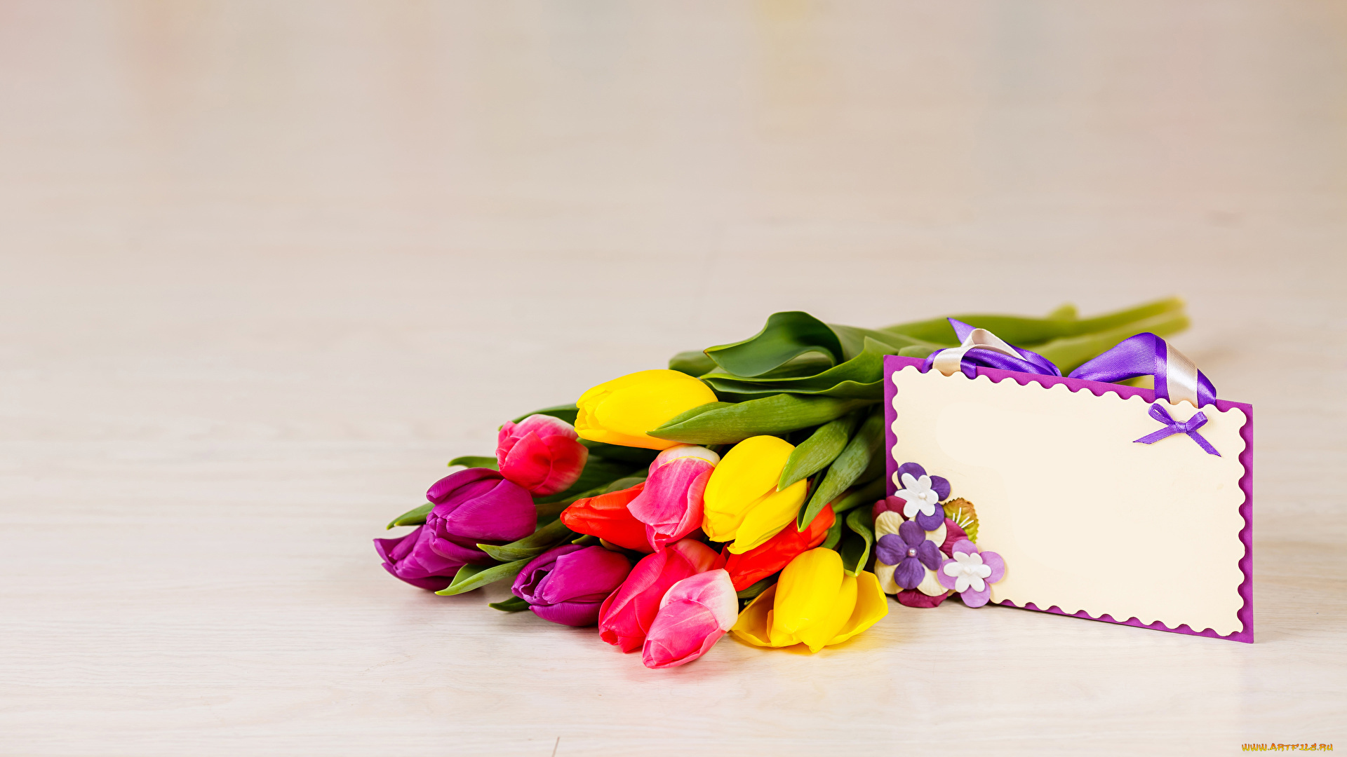 цветы, тюльпаны, бутоны, открытка