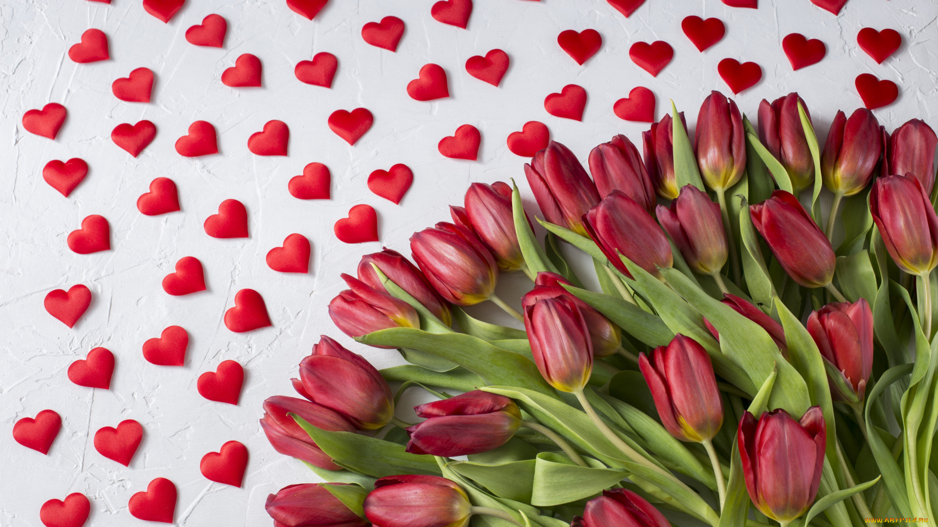 праздничные, день, святого, валентина, , сердечки, , любовь, любовь, букет, сердечки, тюльпаны, красные
