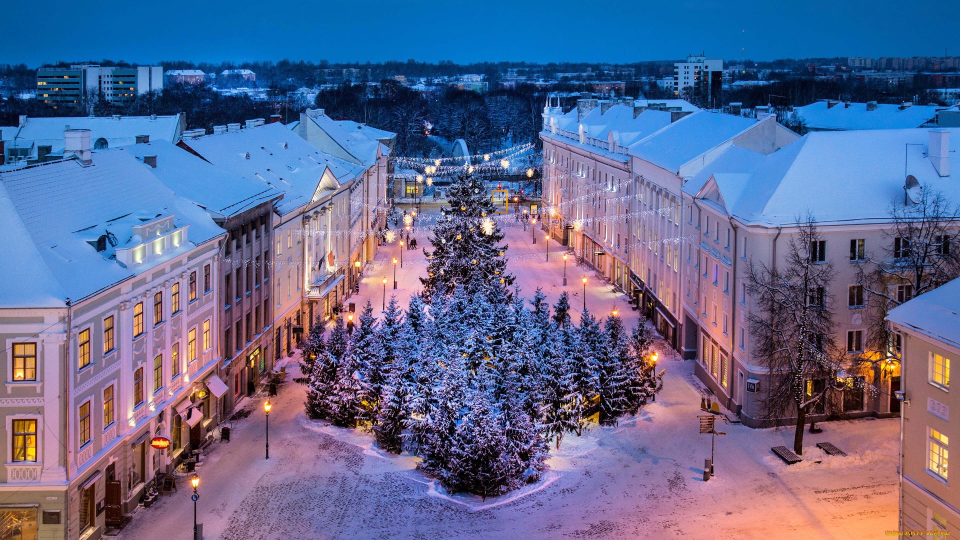 города, -, улицы, , площади, , набережные, площадь, рождество, елки, тарту, эстония