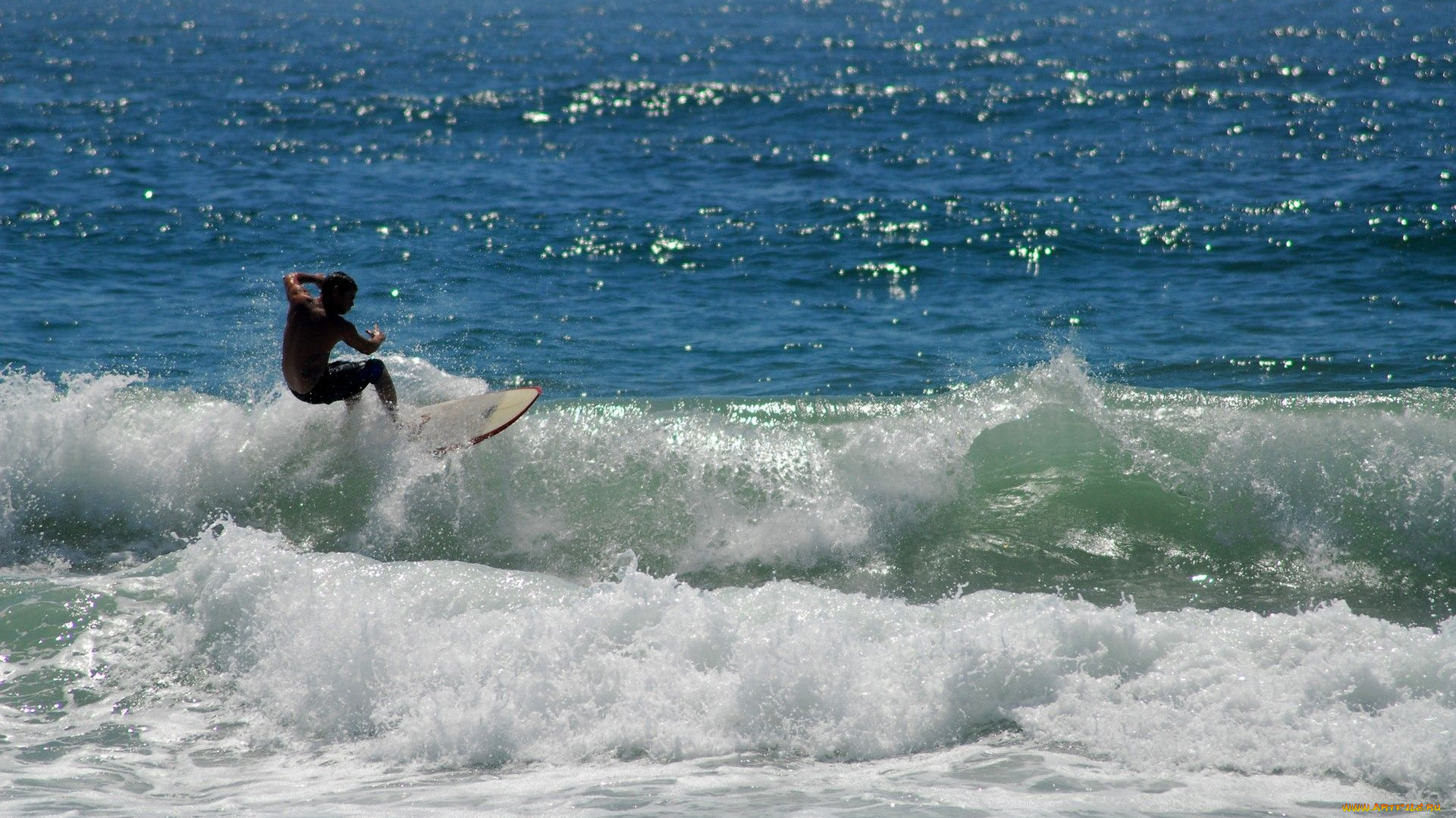 спорт море волна серфинг sports sea wave surfing без смс