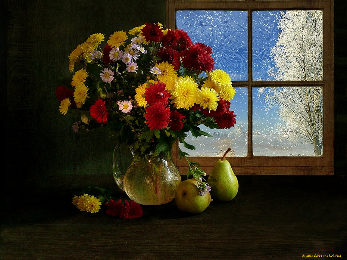 elena, lovelysweet, за, окном, зима, цветы, хризантемы