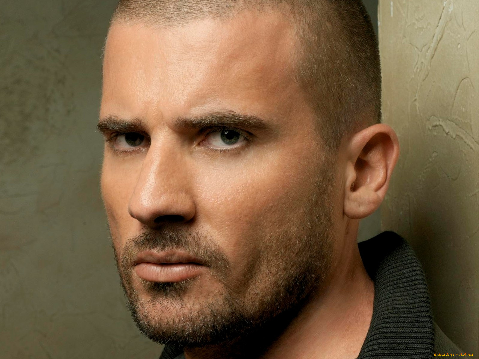 dominic, purcell, мужчины