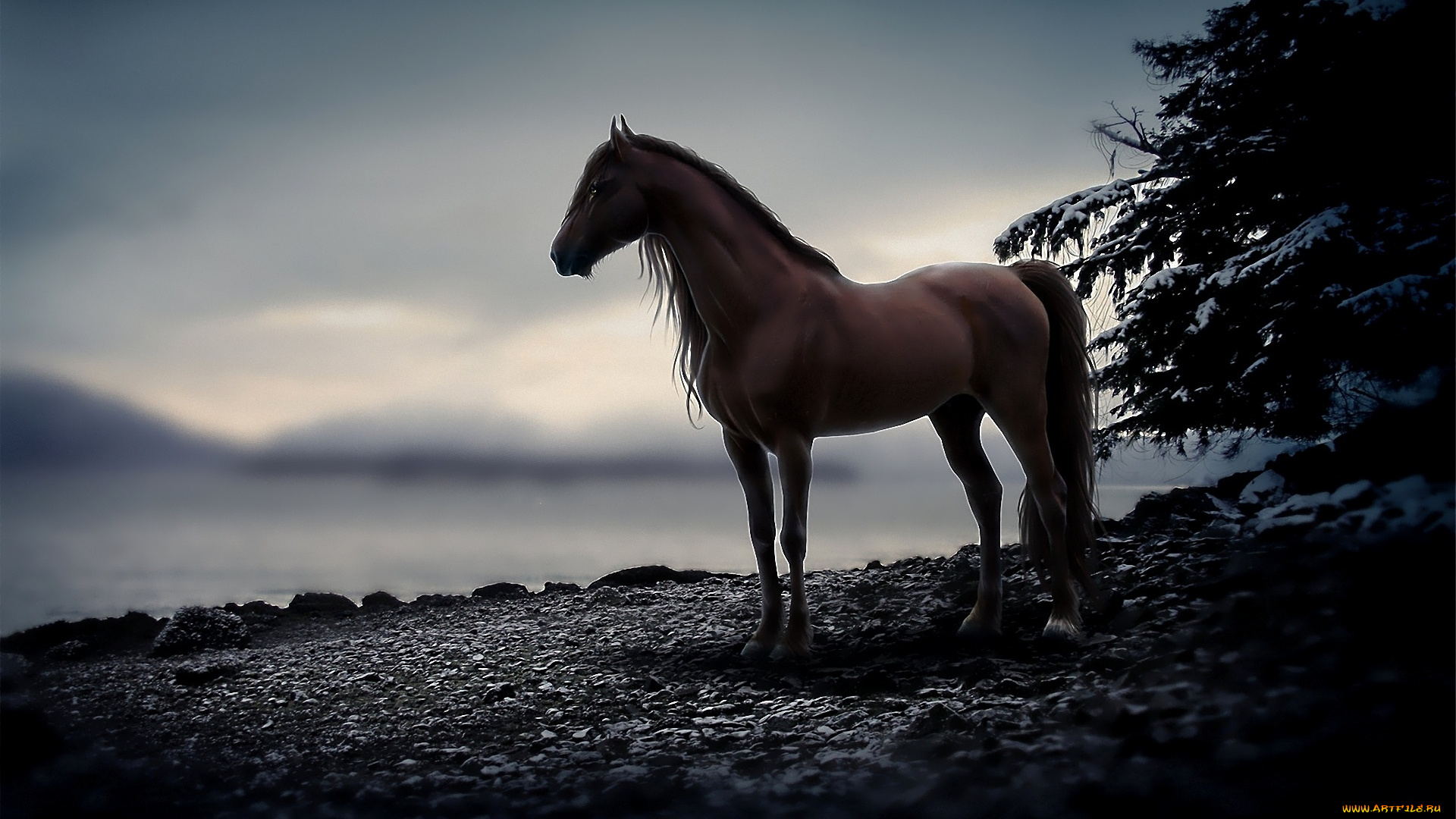 животные, лошади, озеро, конь