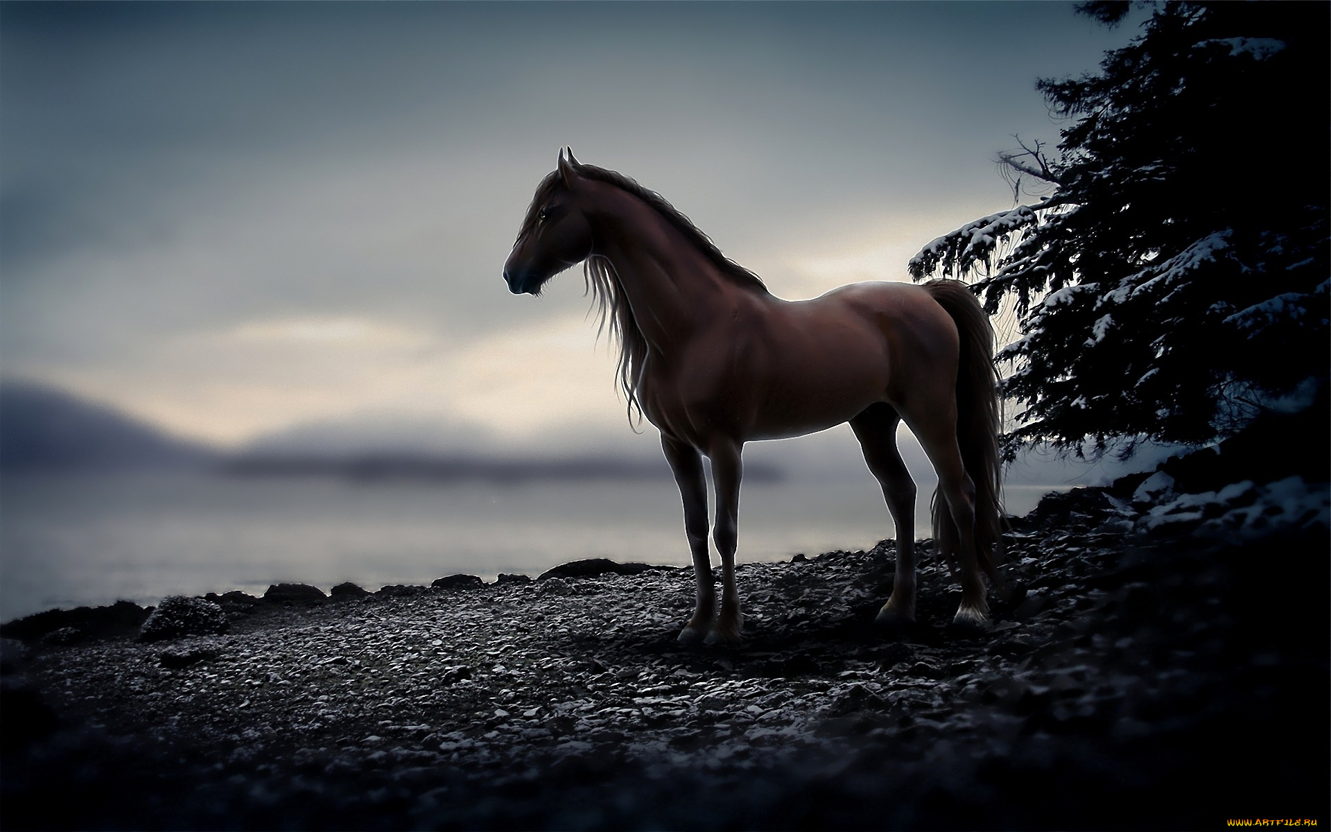 животные, лошади, озеро, конь