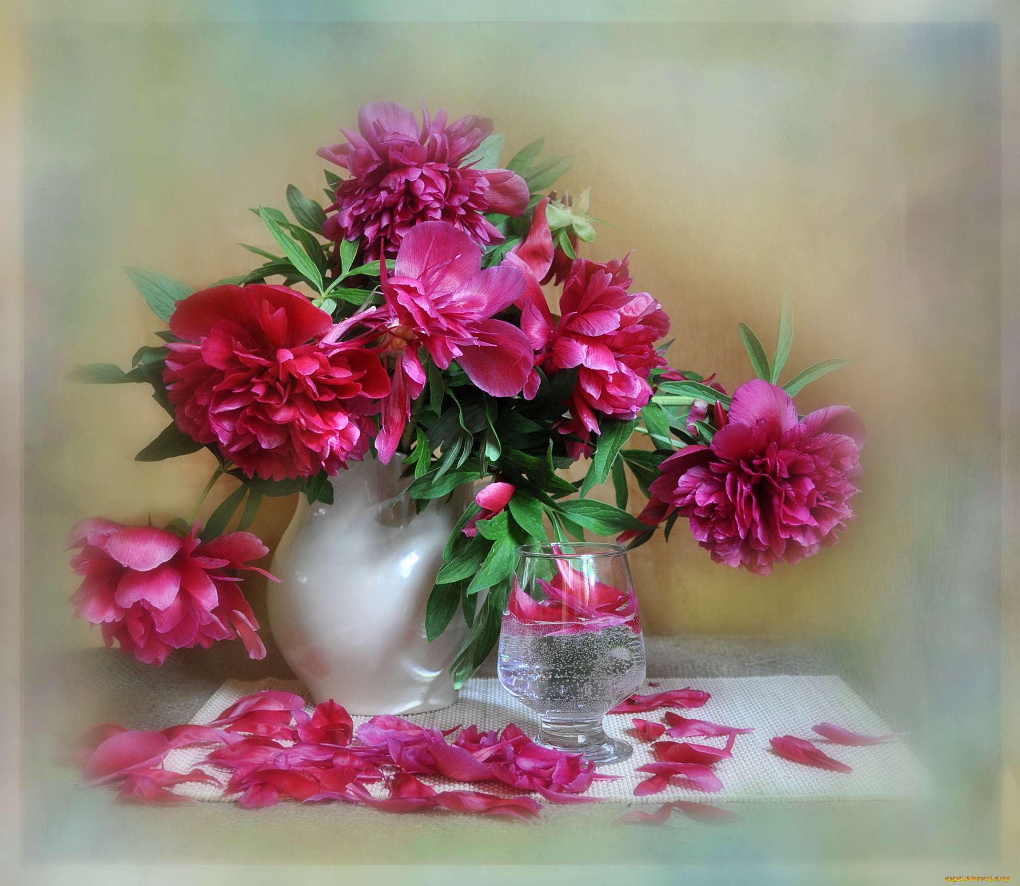 цветы, пионы, ваза