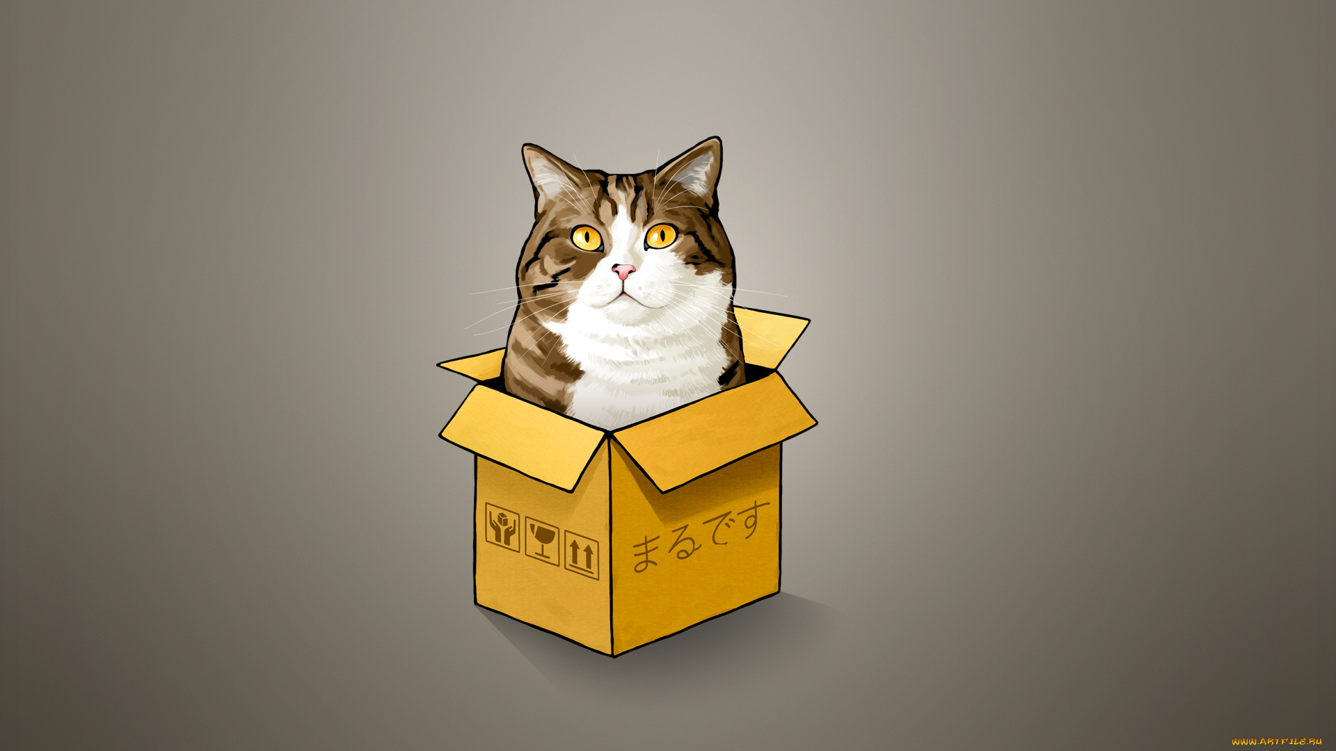 кошка, в, коробке, рисованные, животные, , коты, cat, коробка, кошка, кот