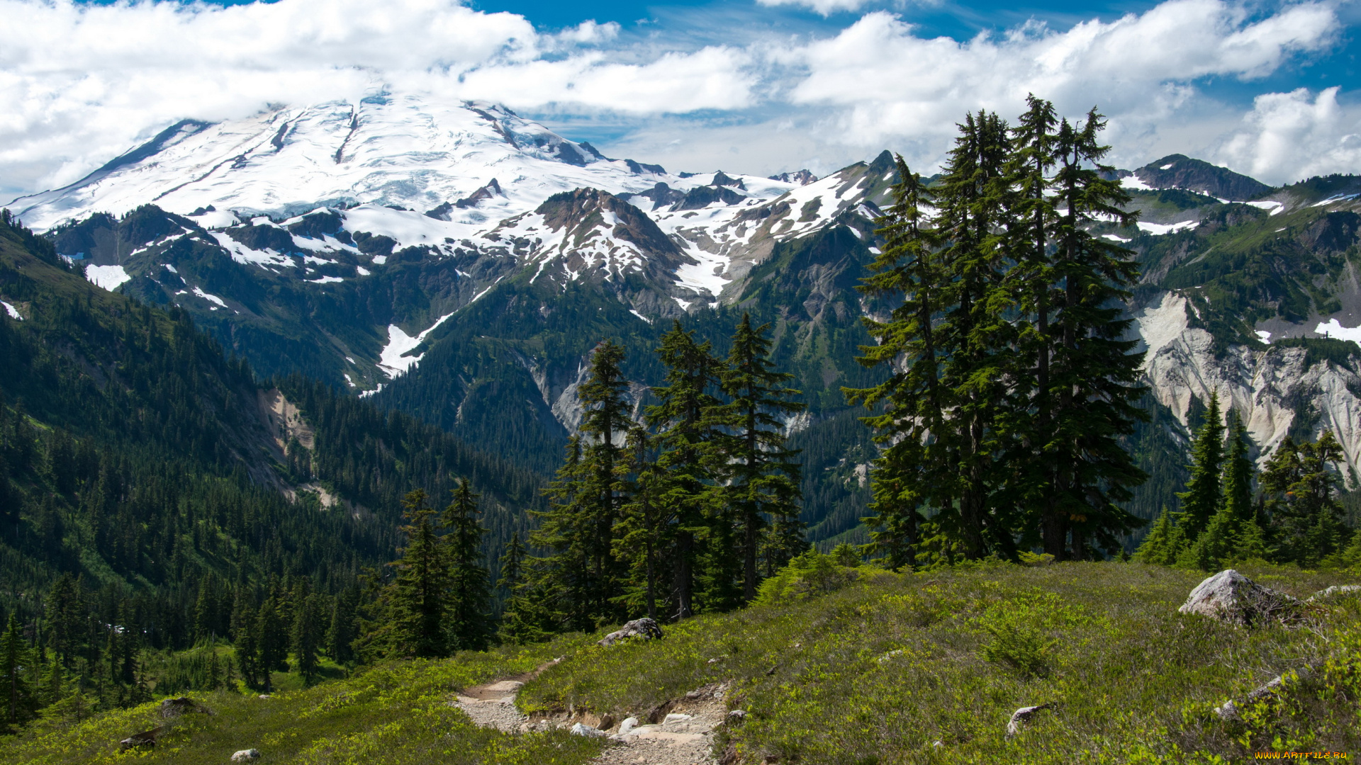 mount, baker-snoqualmie, national, forest, вашингтон, сша, природа, горы, лес, сша, forest, baker-snoqualmie, mount, вашингтон