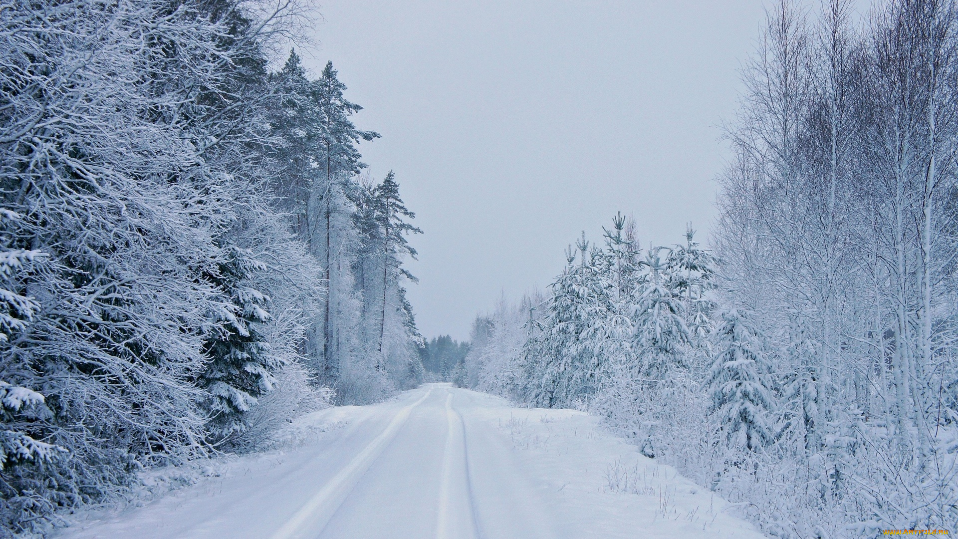 природа, зима, деревья, дорога