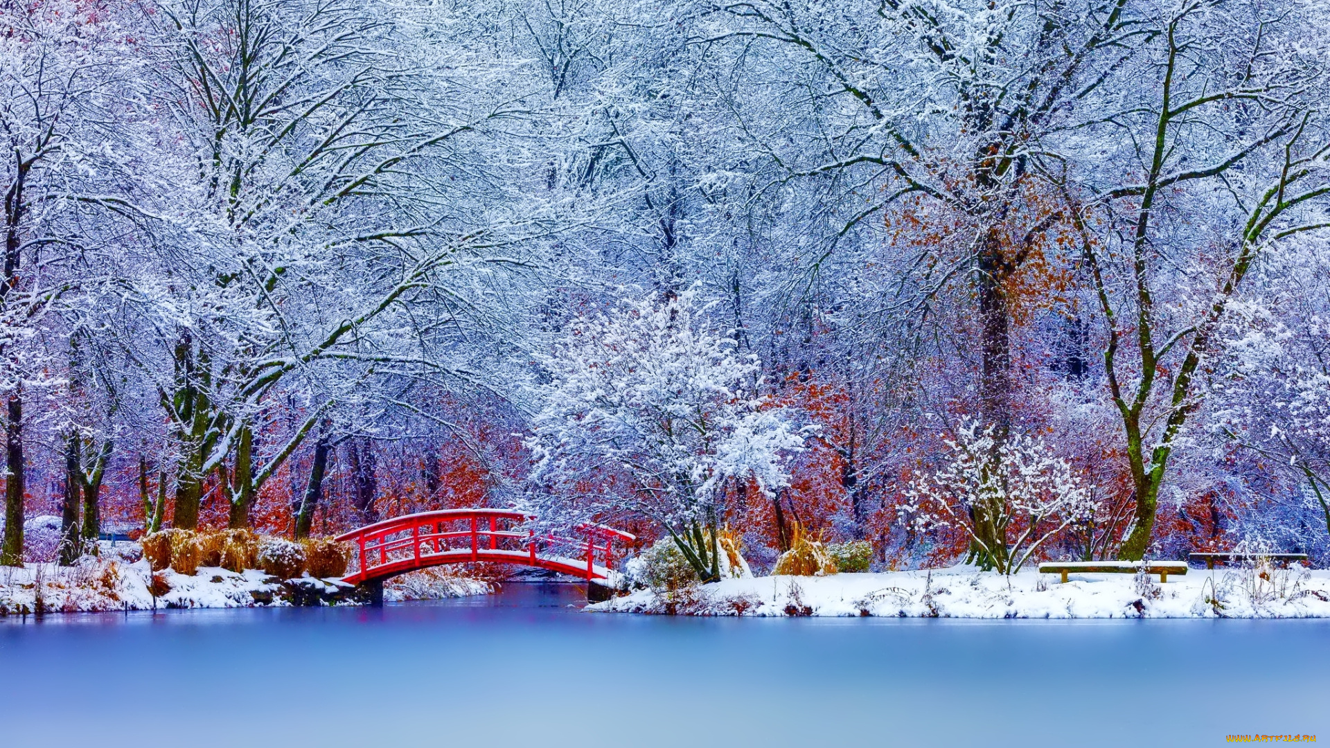 природа, зима, снег, пейзаж, деревья