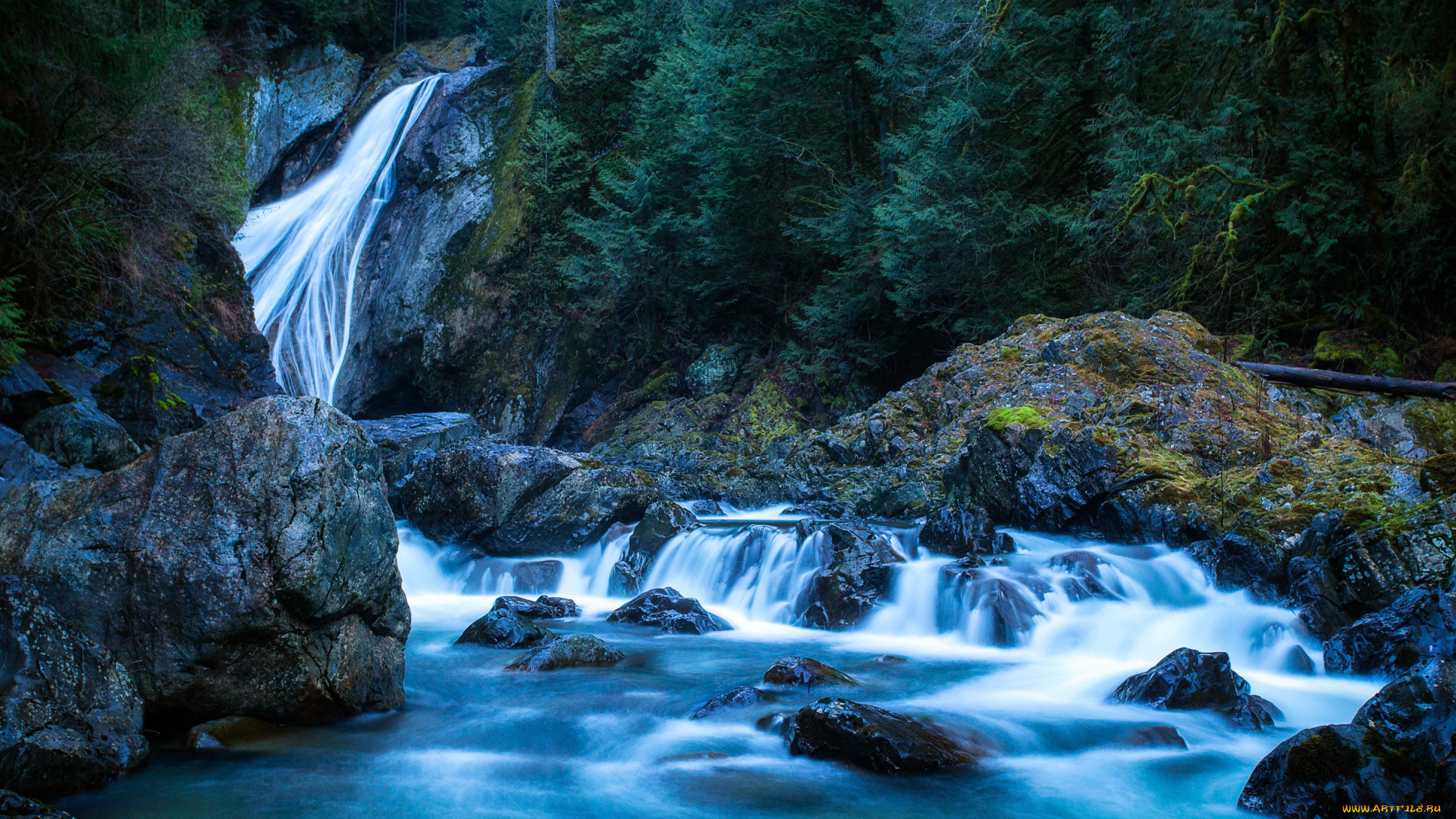 twin, falls, edgewick, , washington, природа, водопады, сша, лес, водопад