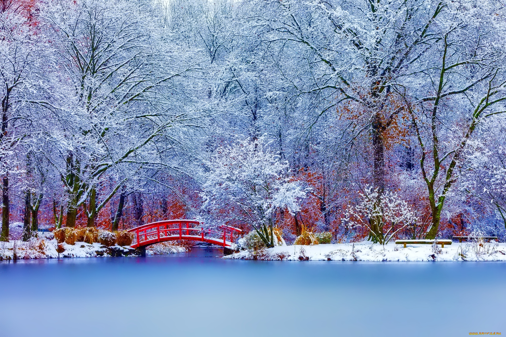 природа, зима, снег, пейзаж, деревья