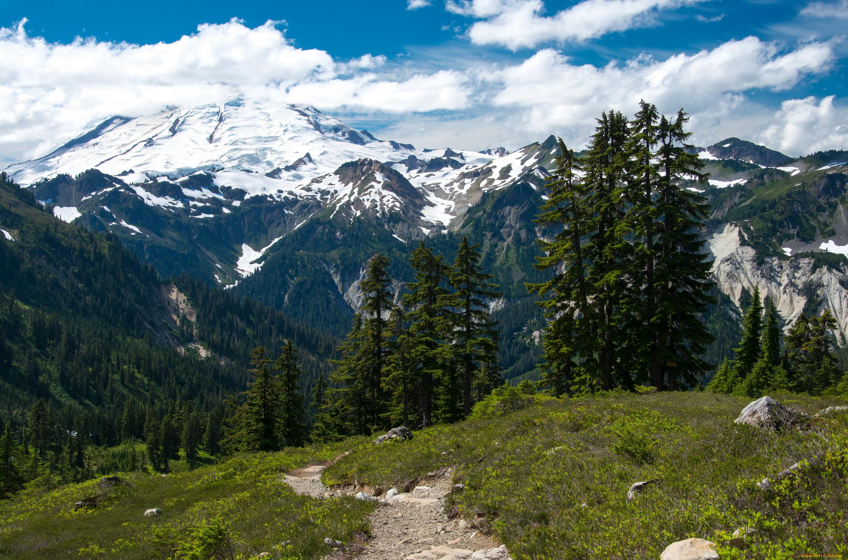 mount, baker-snoqualmie, national, forest, вашингтон, сша, природа, горы, лес, сша, forest, baker-snoqualmie, mount, вашингтон