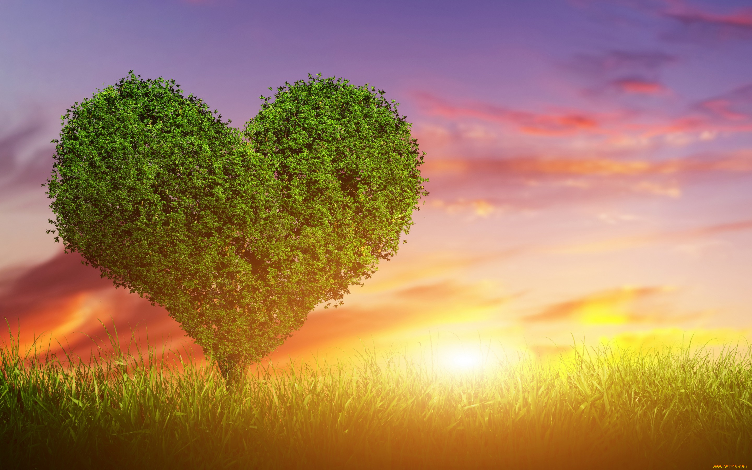 разное, компьютерный, дизайн, дерево, любовь, sunset, green, heart, love, tree, закат, сердце