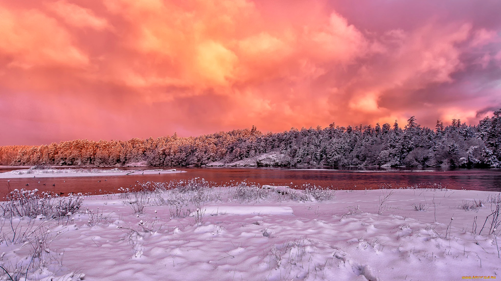 природа, зима, красное, небо, снег