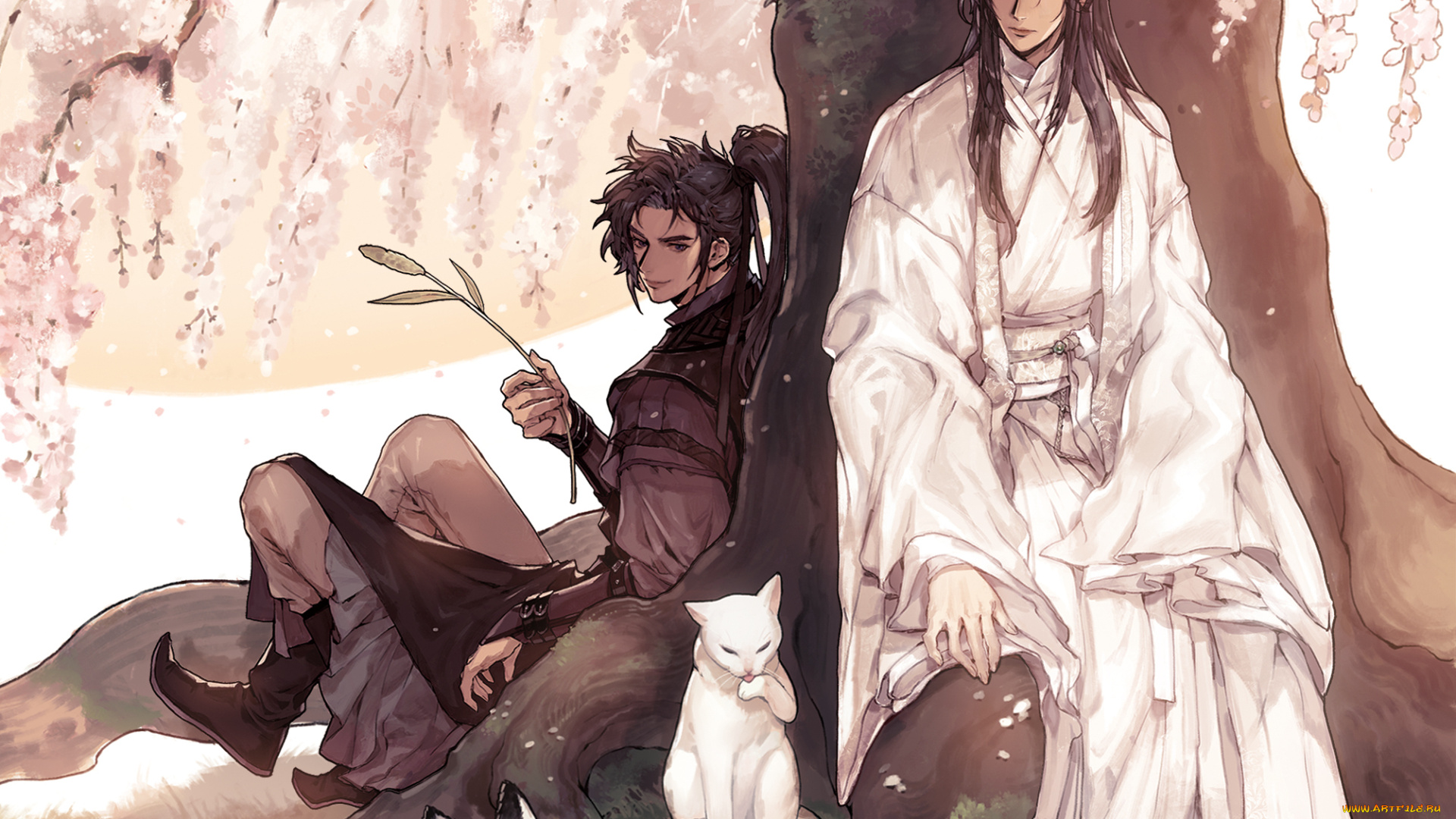 аниме, the, husky, and, his, white, cat, shizun, the, husky, and, his, white, cat, shizun