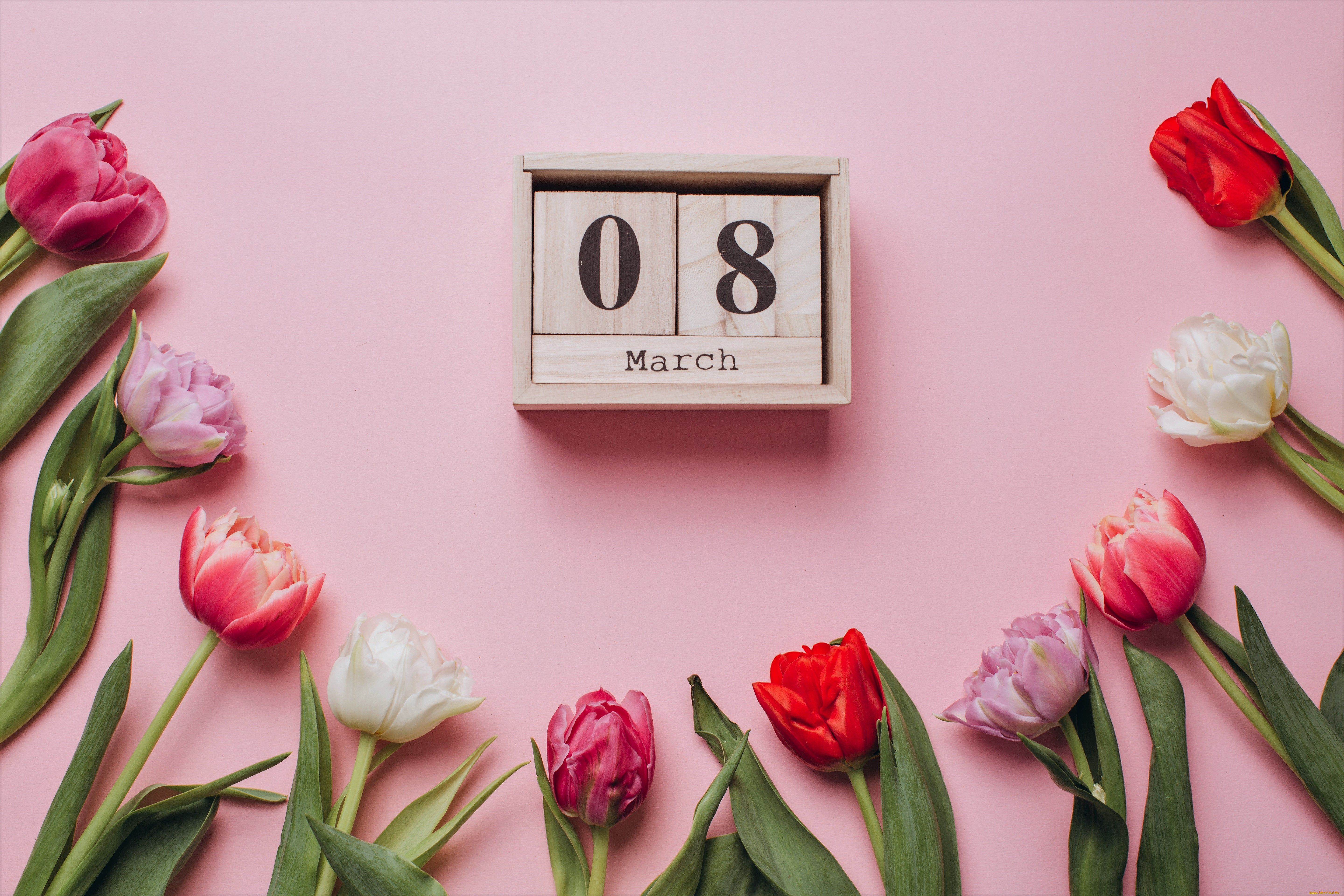 праздничные, международный, женский, день, -, 8, марта, дата, тюльпаны