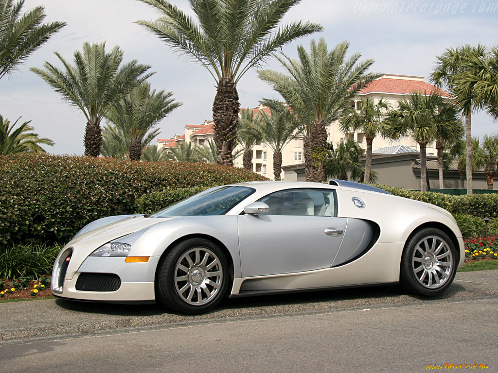 bugatti, 16, veyron, автомобили