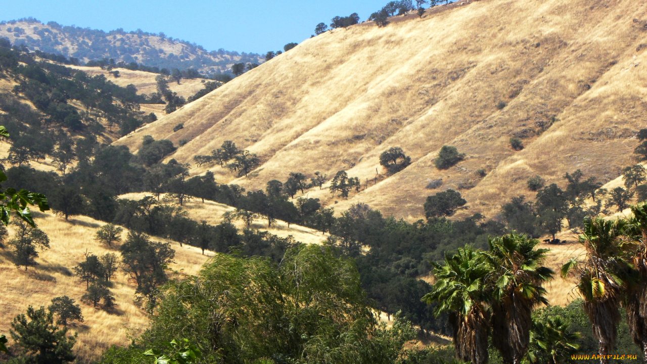 central, california, three, rivers, природа, горы, usa