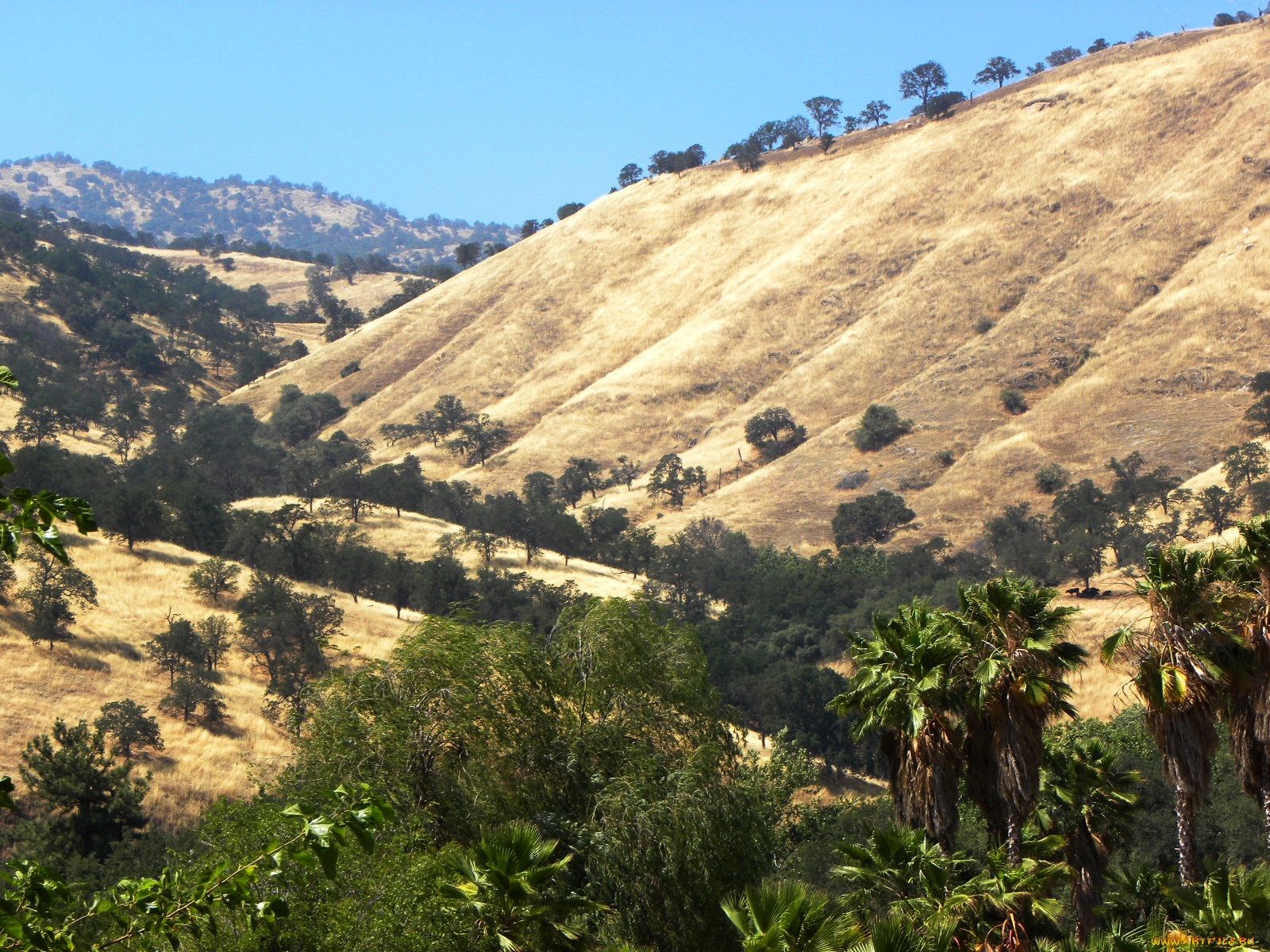 central, california, three, rivers, природа, горы, usa