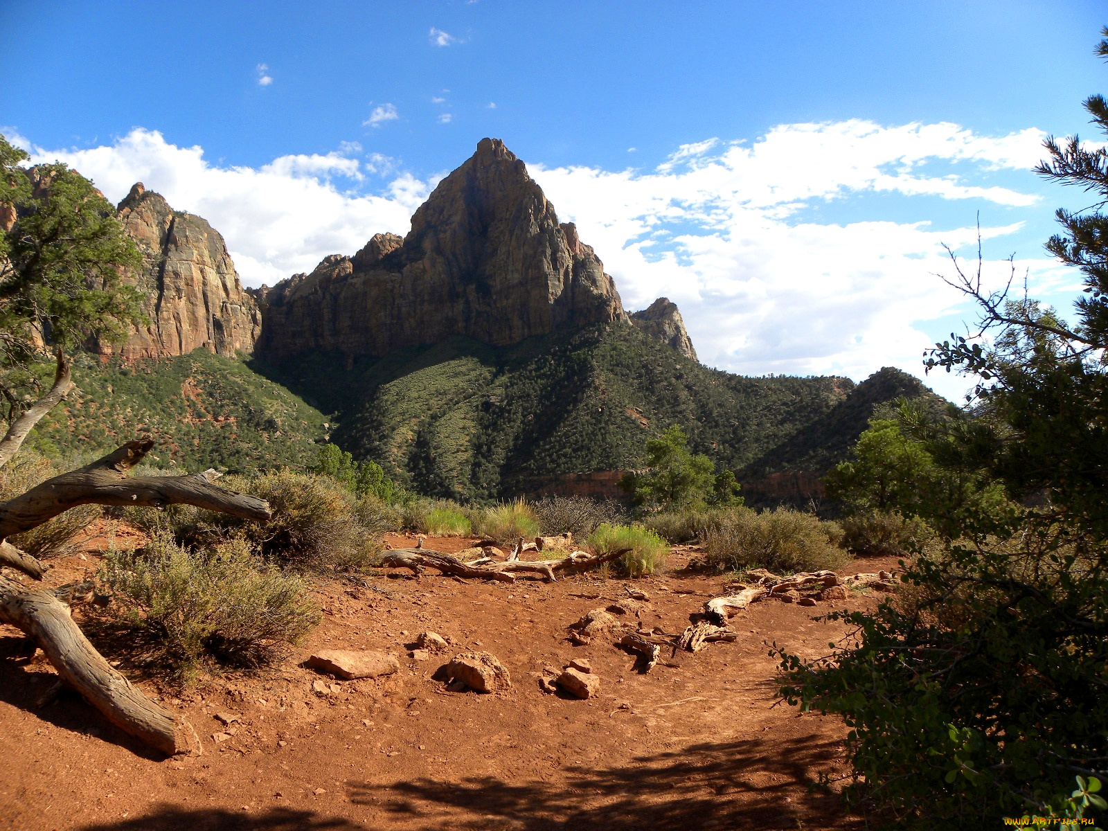 zion, national, park, природа, горы, сша