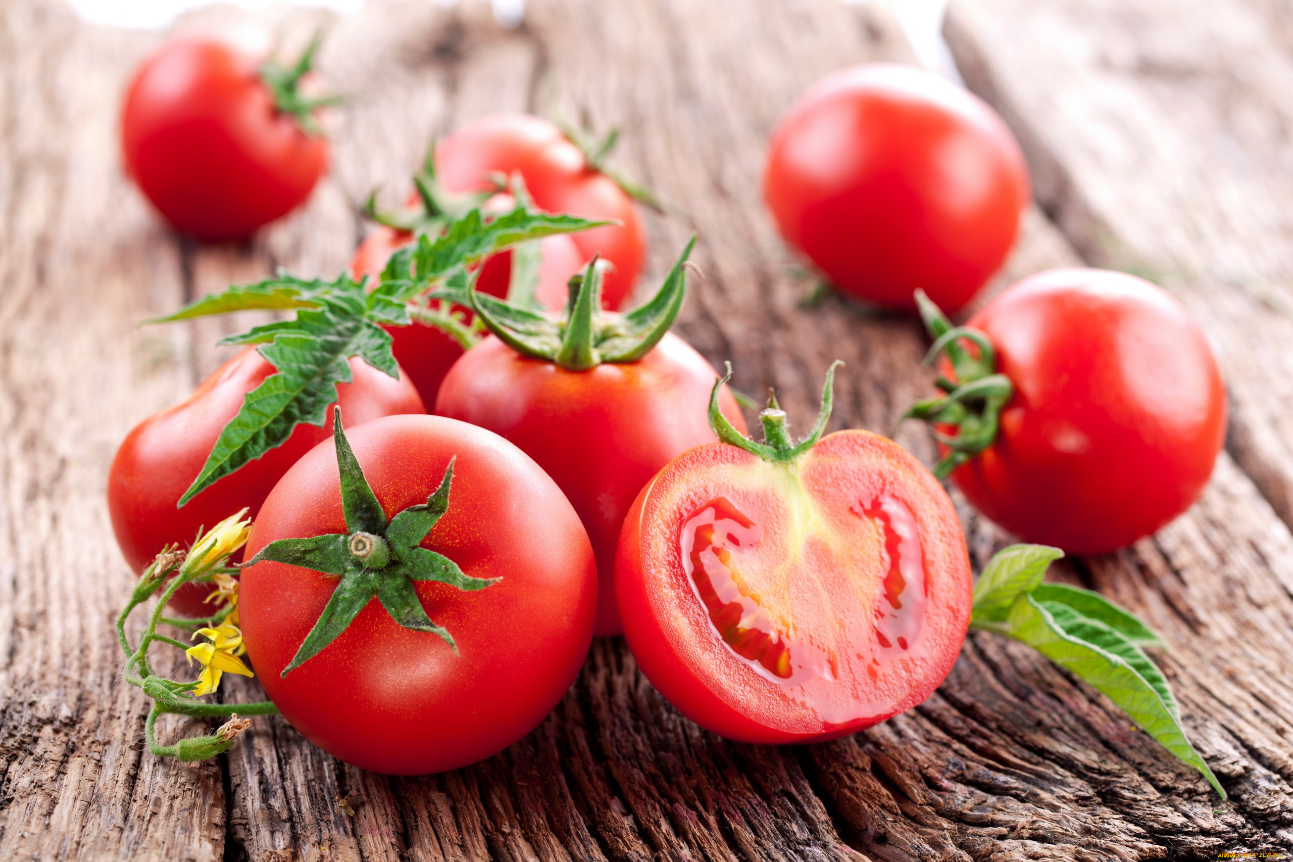 еда, помидоры, томаты, листья