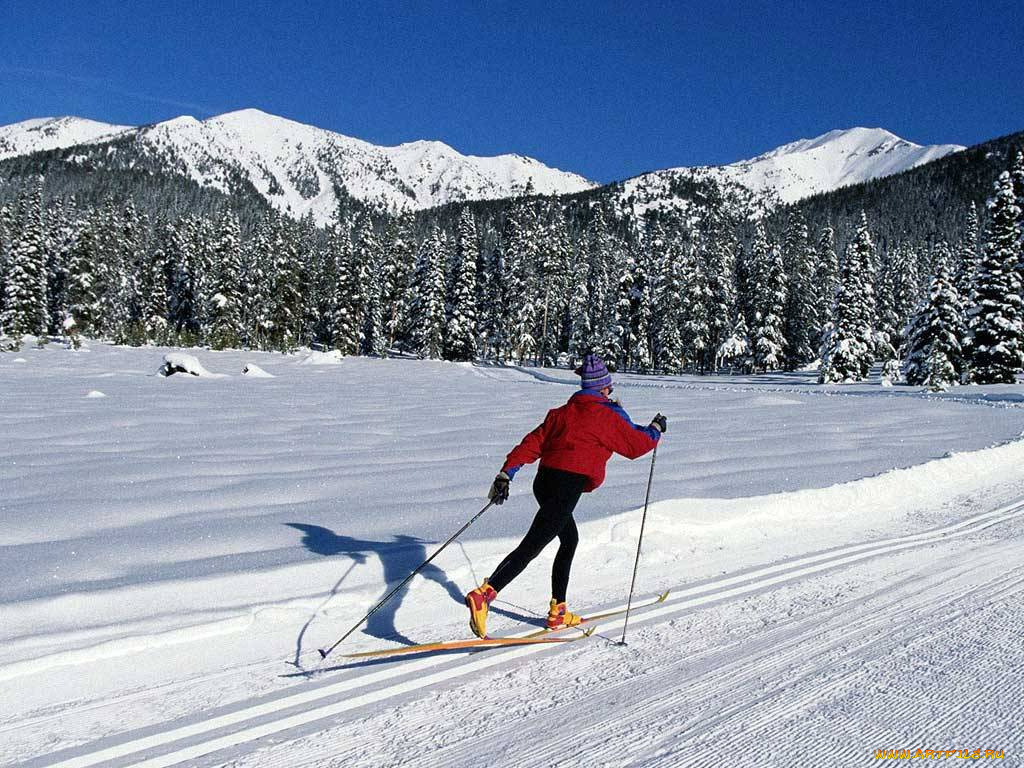 спорт, лыжный