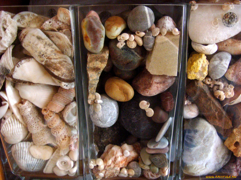 разное, ракушки, кораллы, декоративные, spa, камни