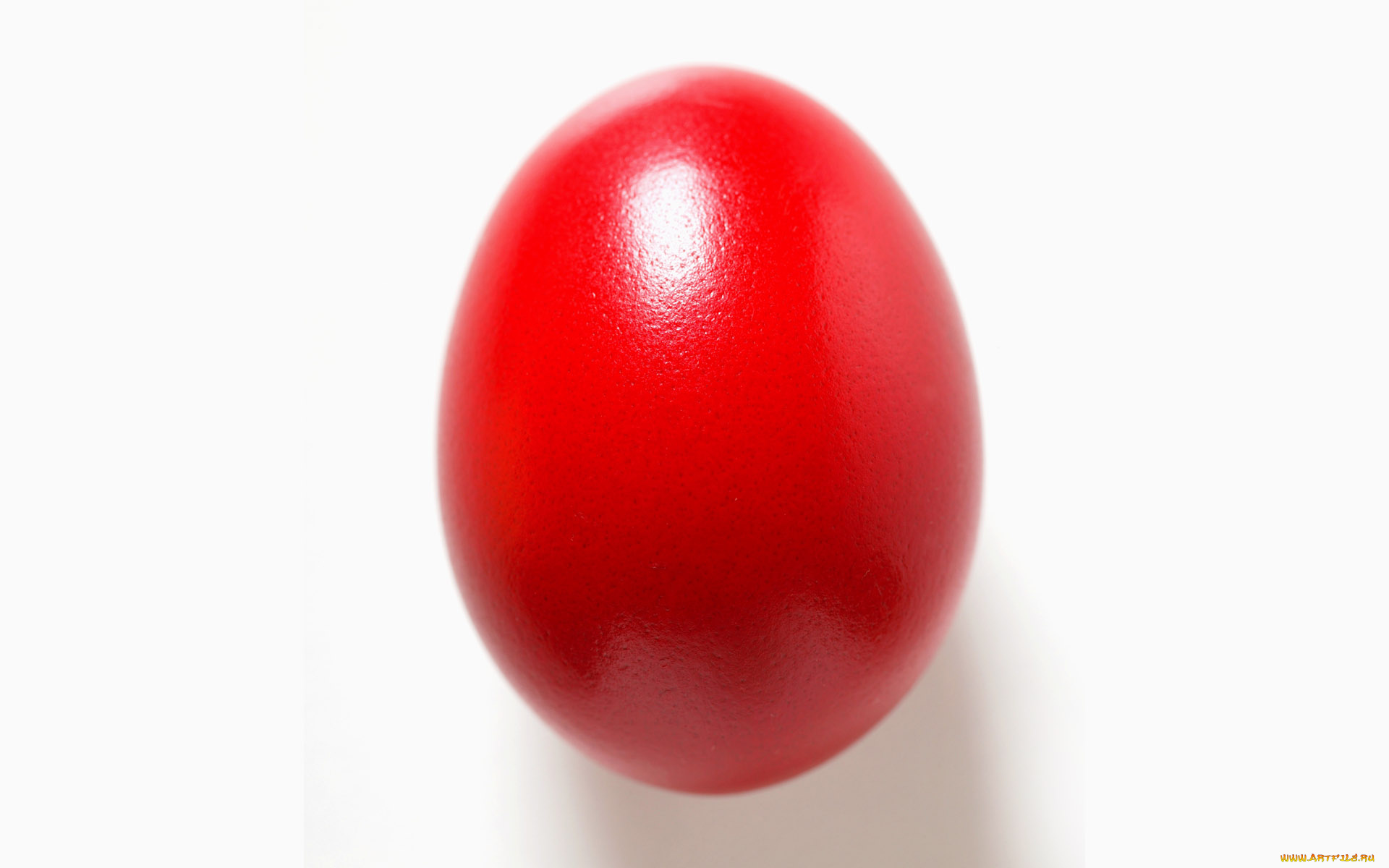 еда, Яйца, красное, крашеное, яйцо