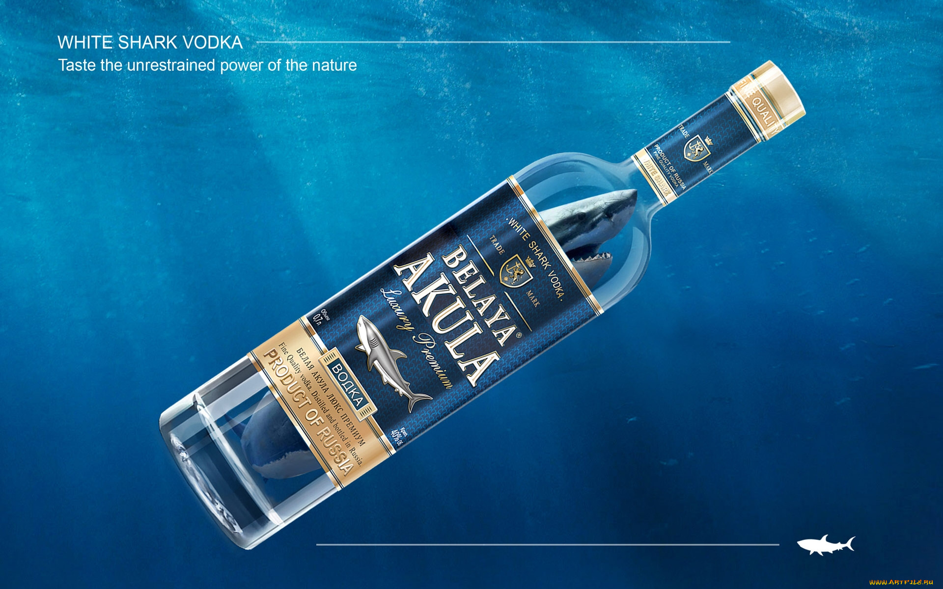 водка, белая, акула, бренды, white, shark, vodka, белая, акула