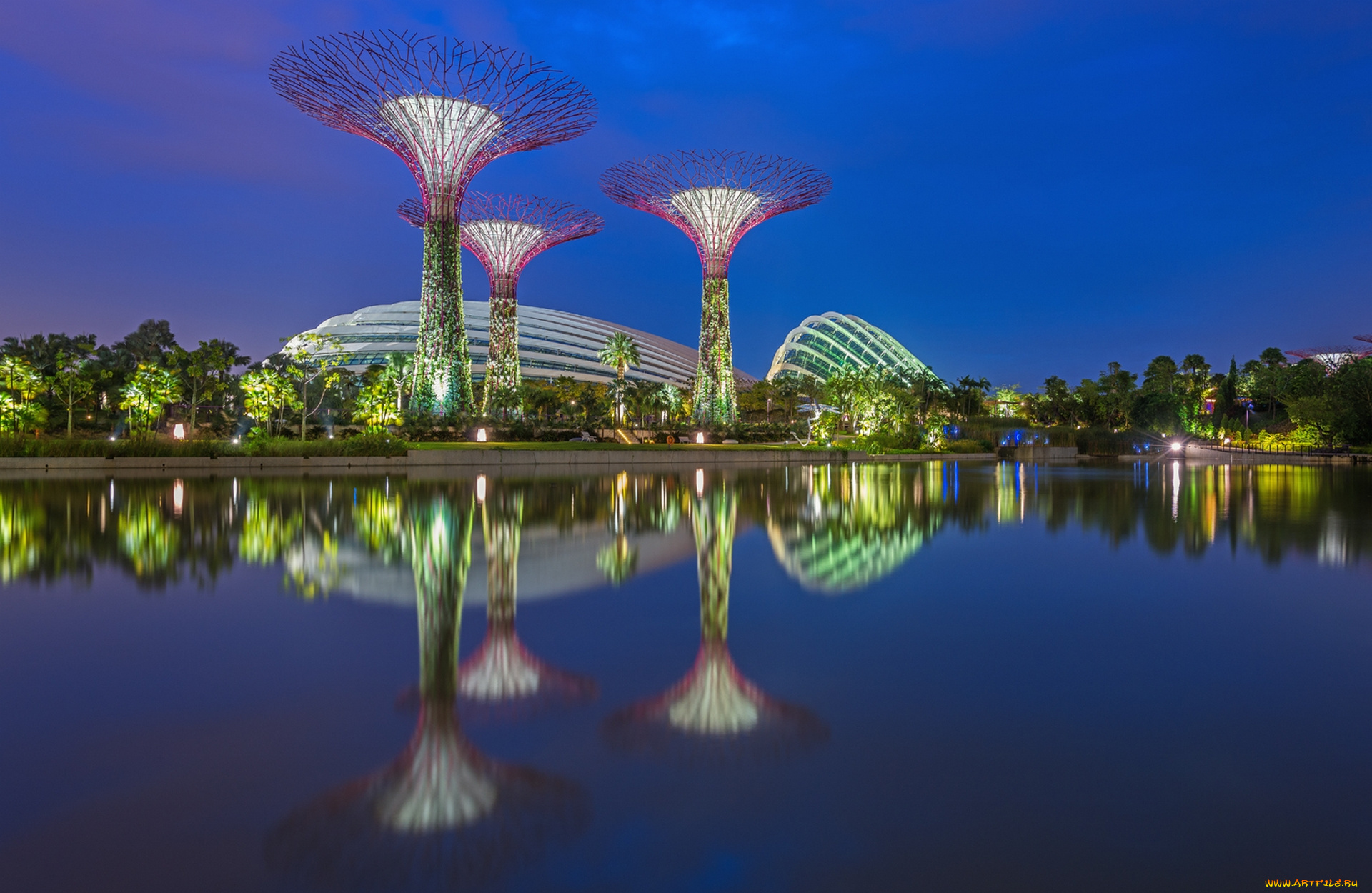 города, сингапур, парк, оригинальность