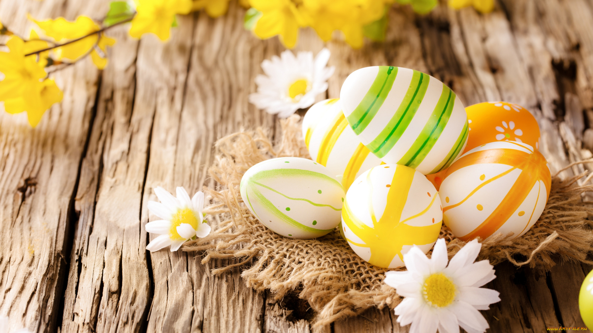 праздничные, пасха, ромашки, easter, eggs, wood, flowers, camomile, яйца