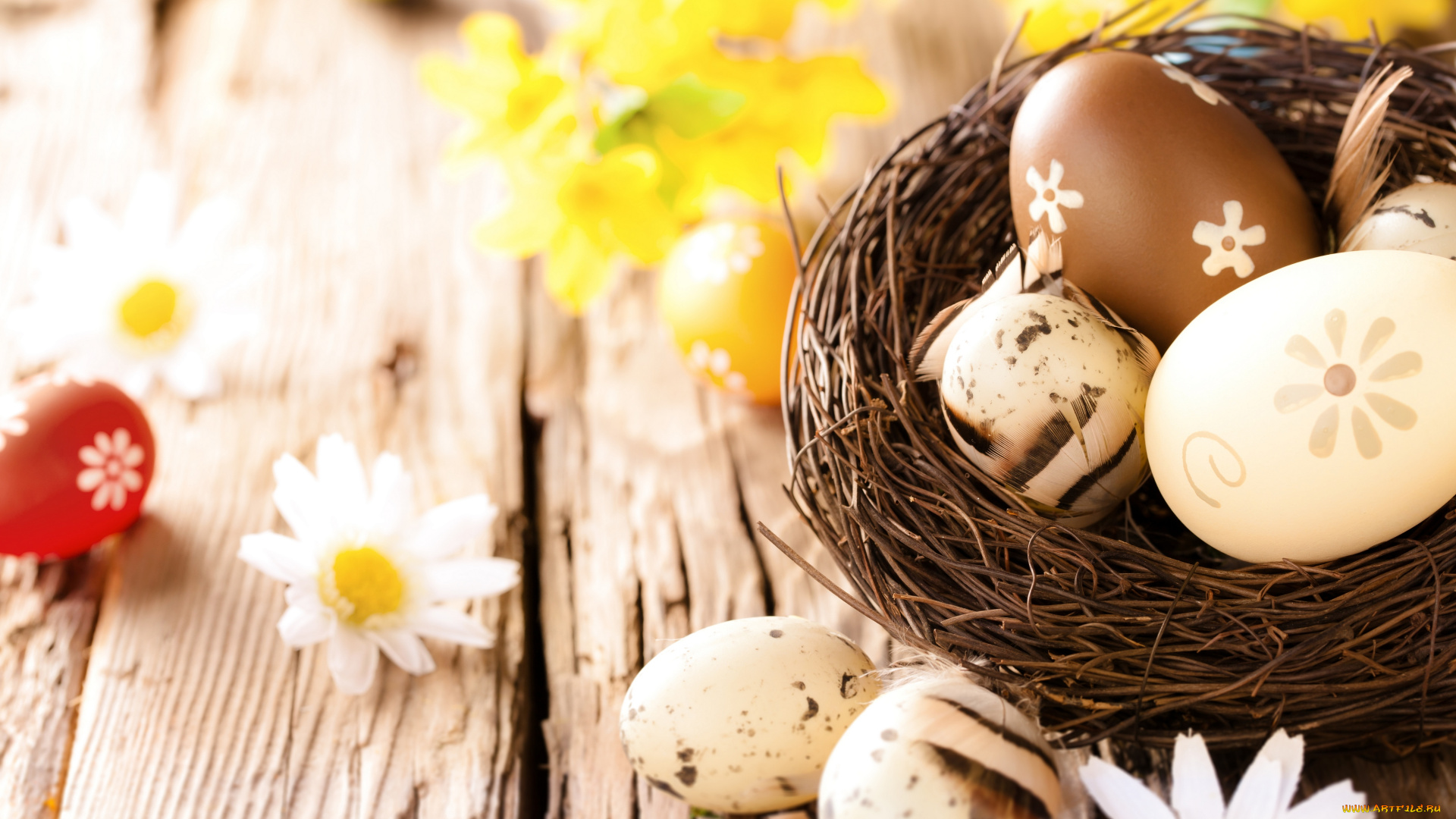 праздничные, пасха, ромашки, яйца, flowers, camomile, eggs, wood, easter