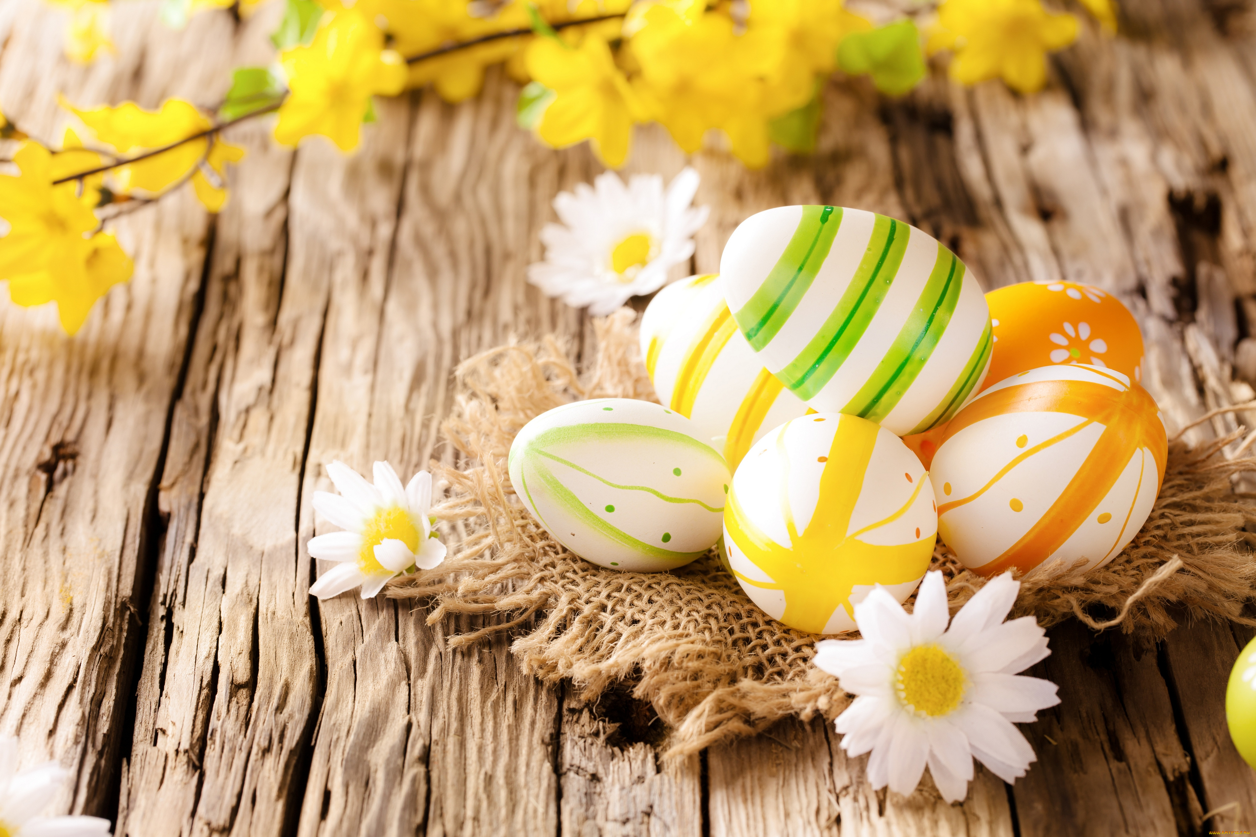 праздничные, пасха, ромашки, easter, eggs, wood, flowers, camomile, яйца