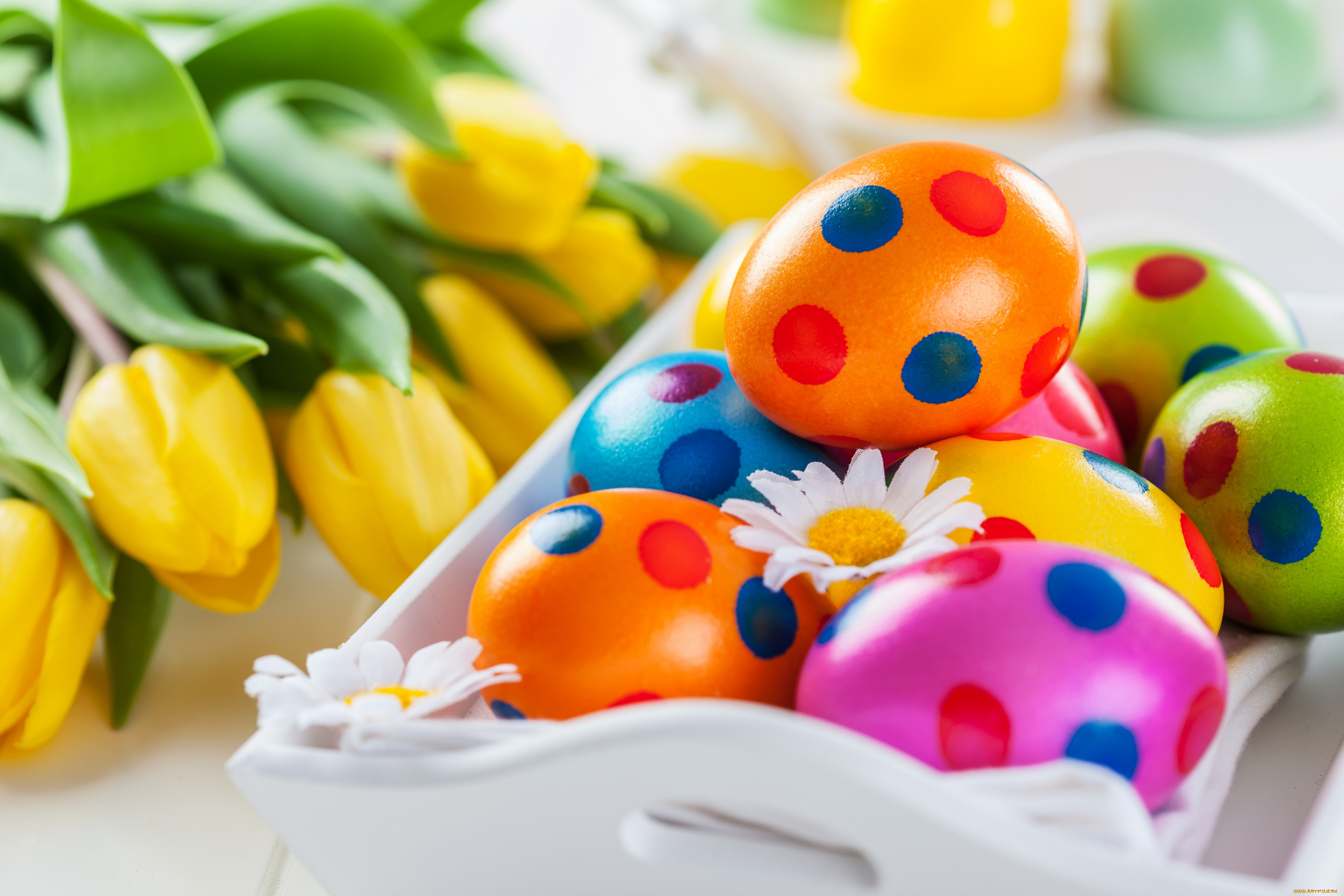 праздничные, пасха, весна, colorful, tulips, easter, flowers, крашеные, цветы, тюльпаны, яйца, eggs, spring